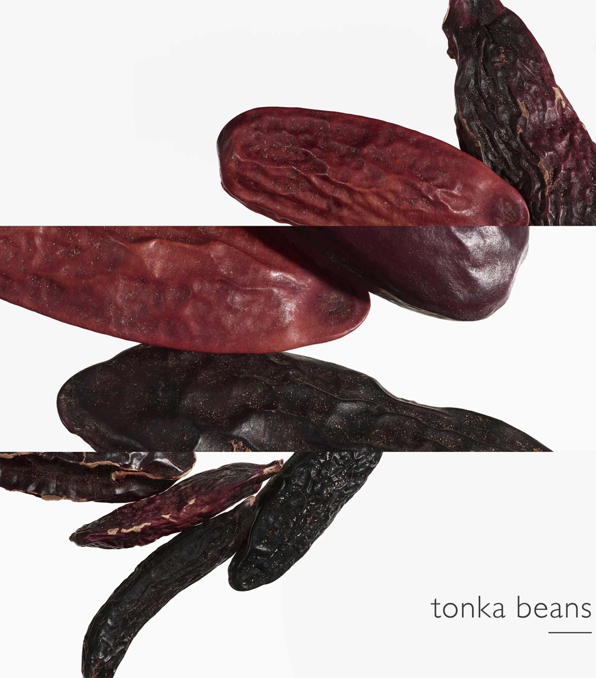 L'Ombre Des Merveilles Eau de Parfum (50ml) NO COLOUR Image 5