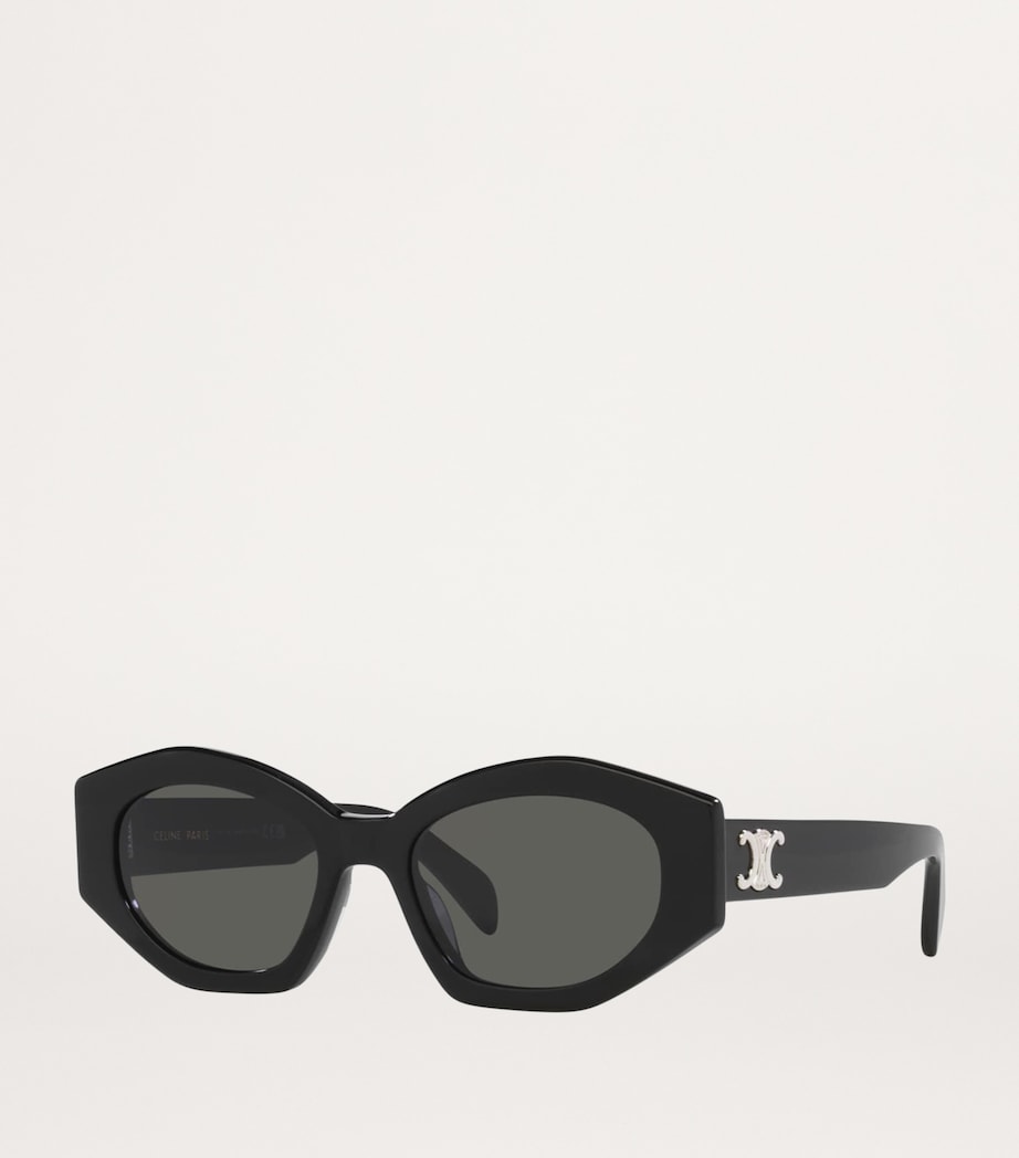 Celine Acetate 0CL000380 Sunglasses Image 2