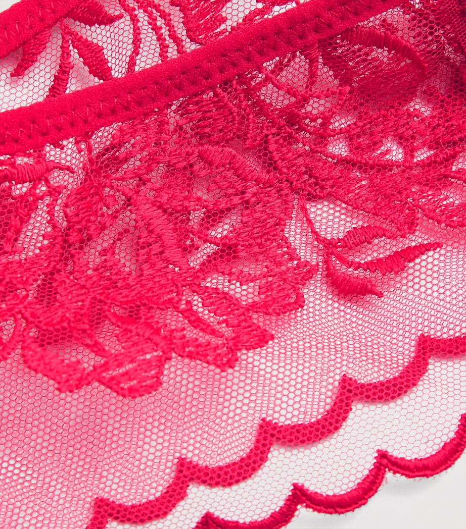 Romance Tanga 303 CRANBERRY Image 2