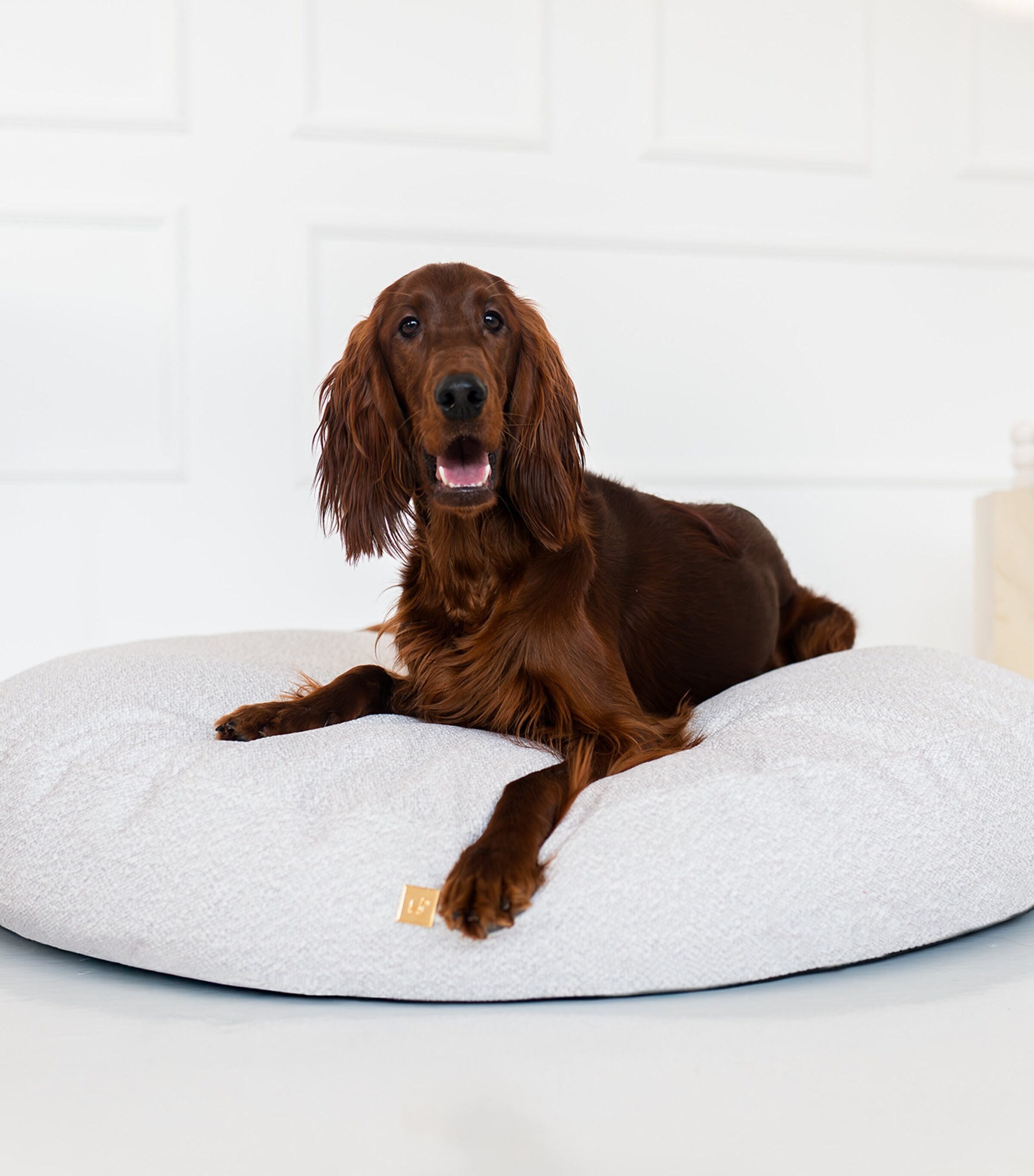 Looty Large Organic Pet Pouf Beige Image 7