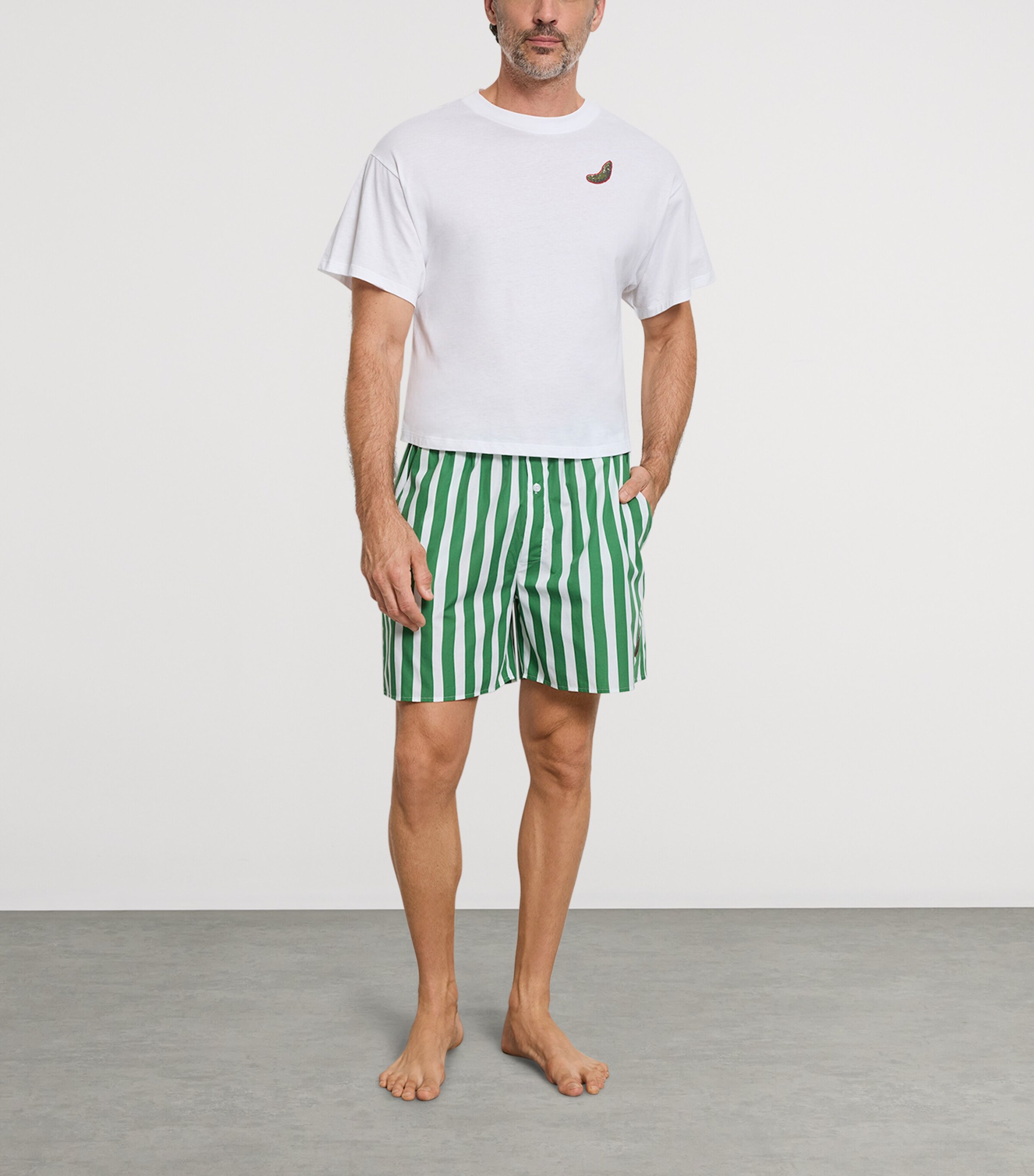 Hanro Womens Cotton Stripe Shorts Souvenir Stripes Image 4