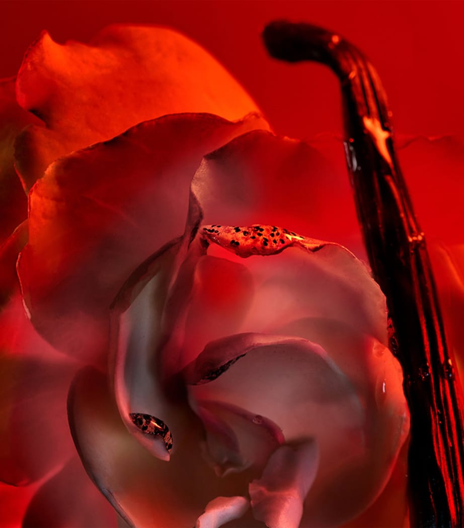 Allegra Baciami Hand and Body Liquid Soap (250ml) NO COLOUR Image 2