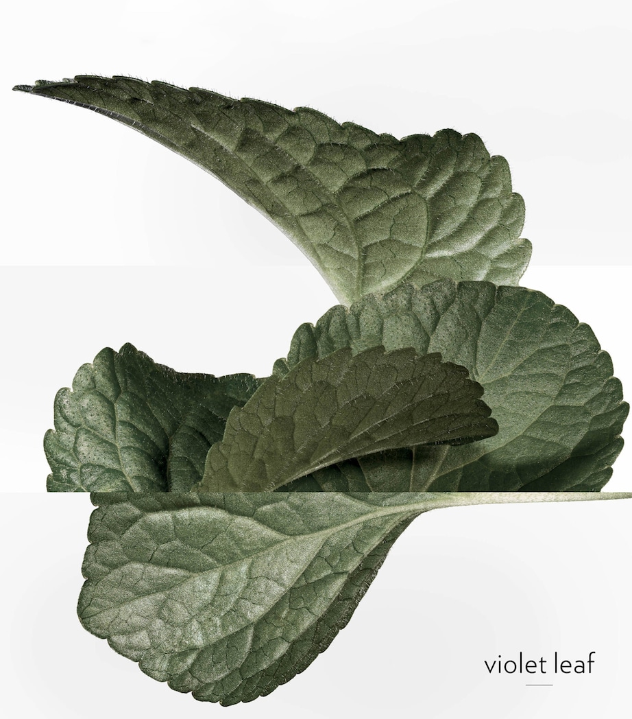 Hermessence Violette Volynka Eau de Toilette (200ml) NO COLOUR Image 8