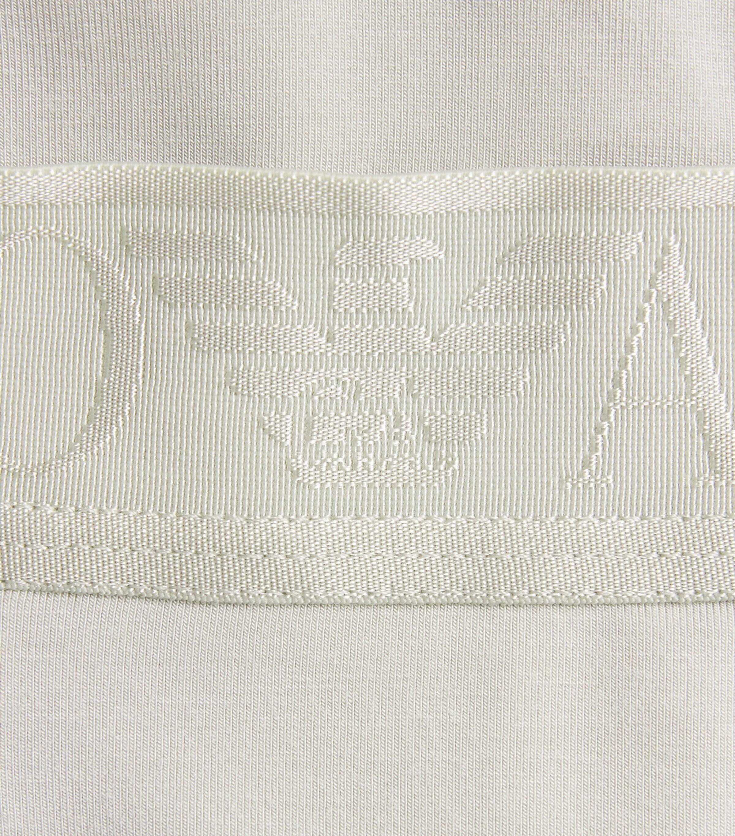 Emporio Armani Mens Modal Logo Trunks Mineral Image 5