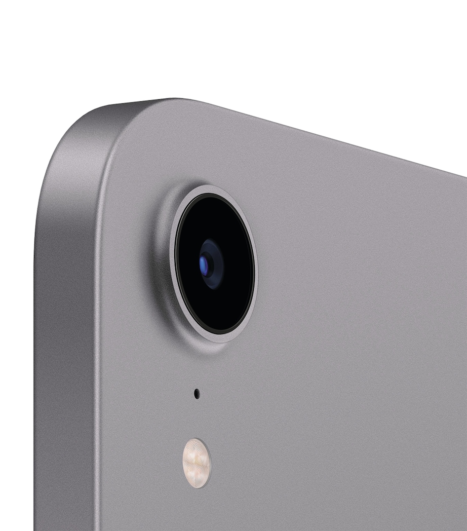 iPad Mini 8.3" Wi-Fi 256GB - Space Grey SPACE GREY Image 3