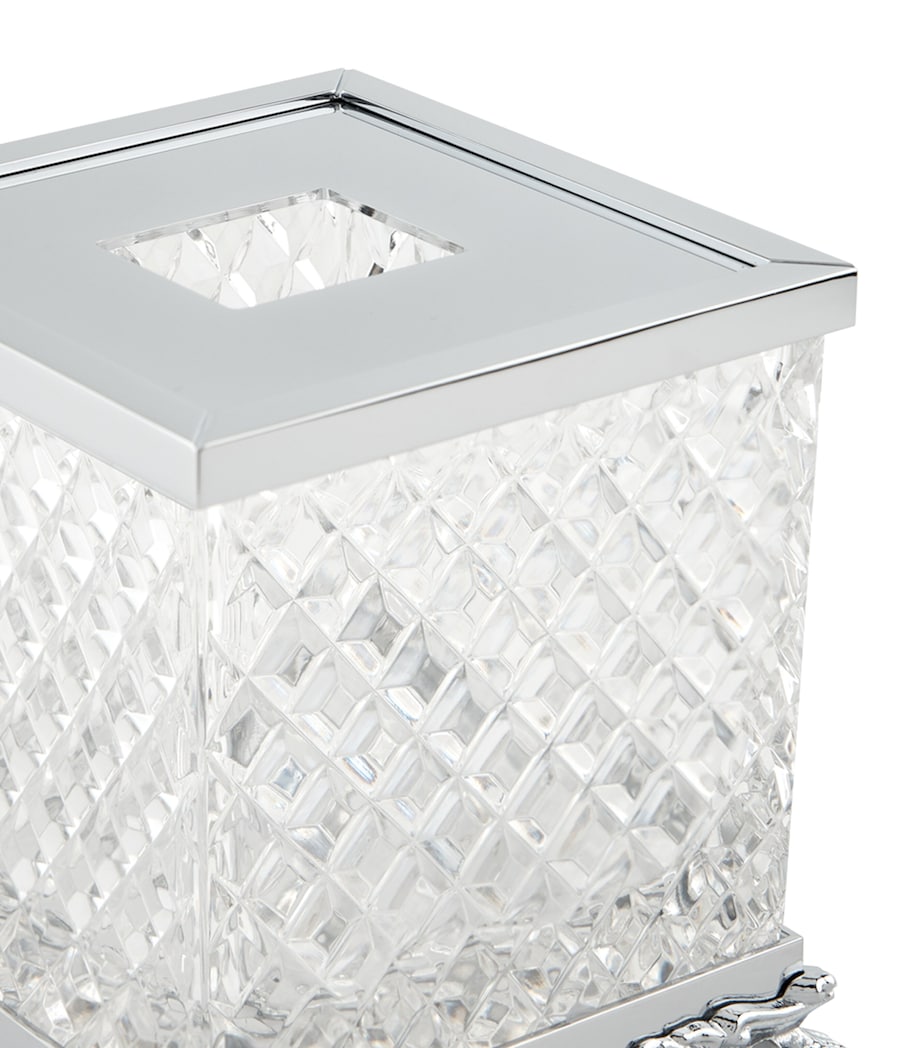 Lion Feet Tissue Box SILVER Image 2