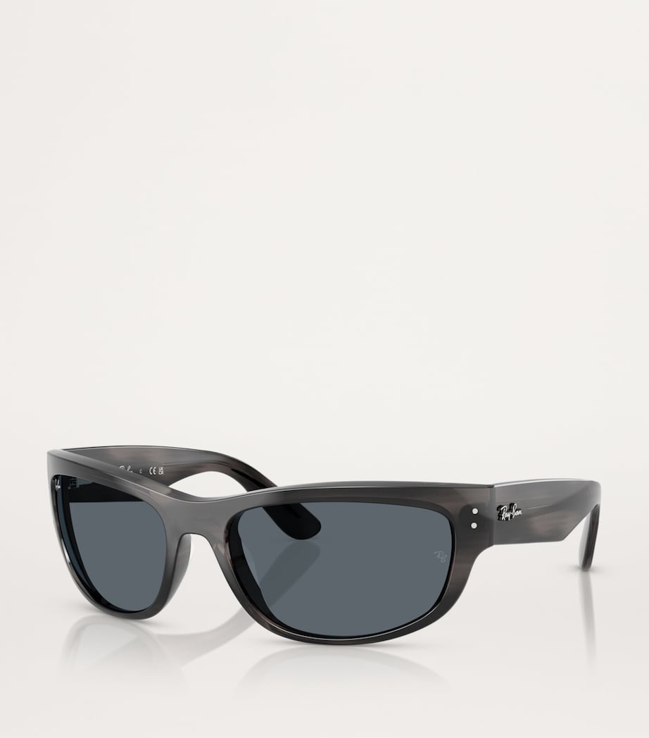 RB2289 Mega Balorama Sunglasses 1404R5 Image 2
