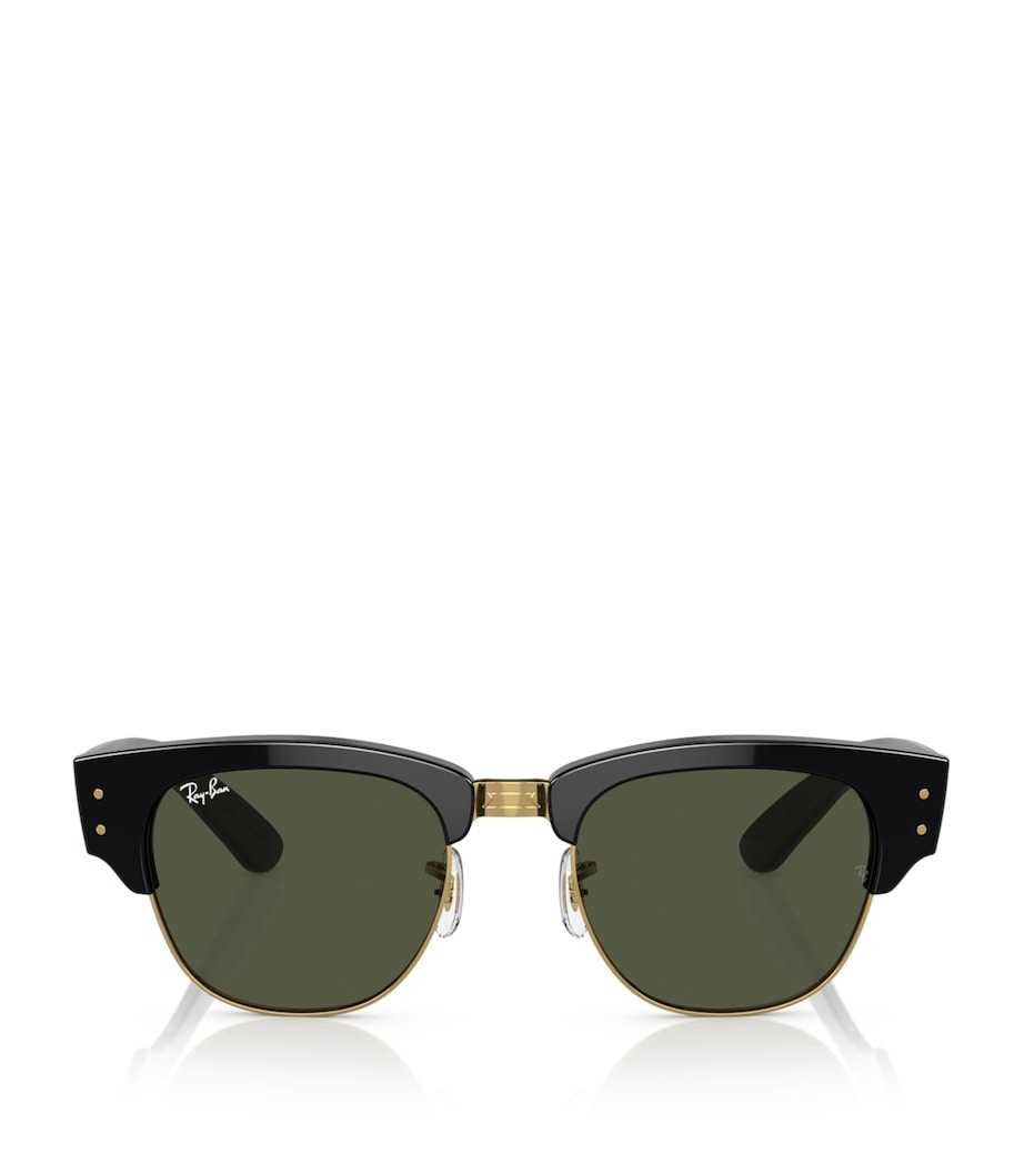 Ray-Ban Propionate 0RB0316S Sunglasses Image 1