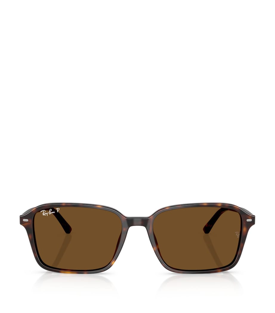 RB2231 Raimond Sunglasses 902/57 Image 1