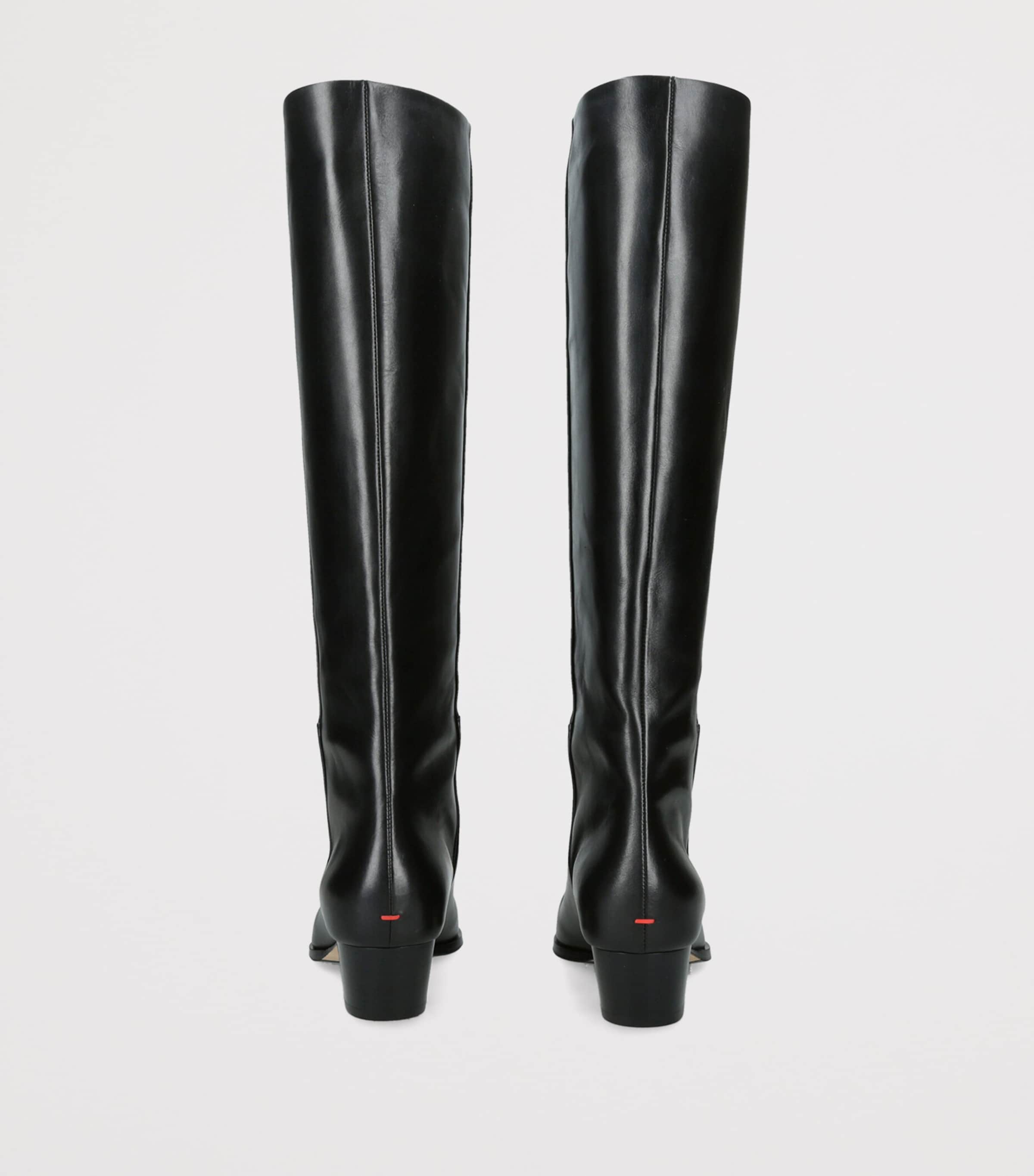 Aeyde Medea Knee High Boot 45 In Black