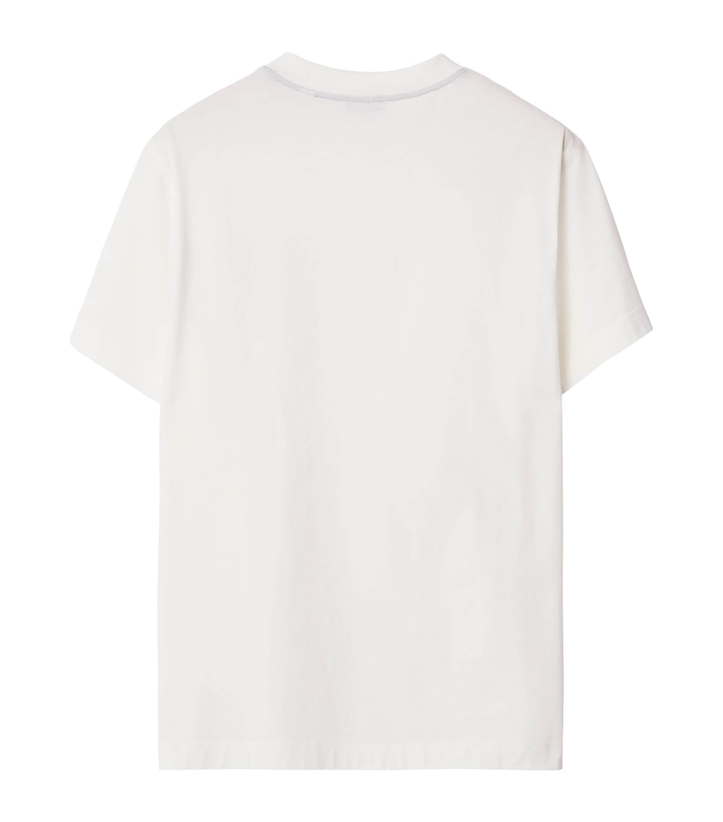 EKD Slim-Fit T-Shirt SALT Image 5