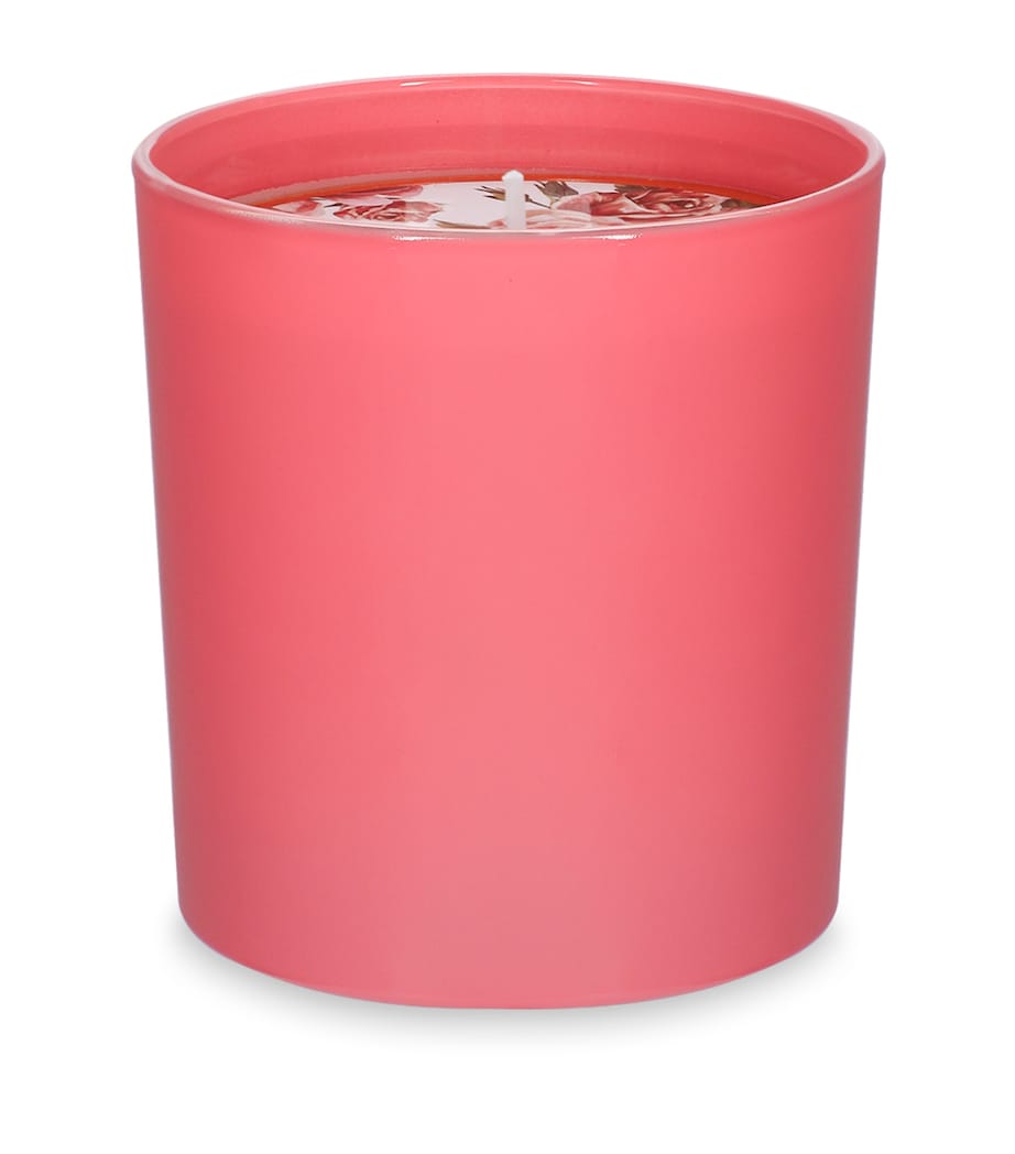 Dolce&Gabbana Casa Rose Candle (250g) Rosa Muschiata Image 2