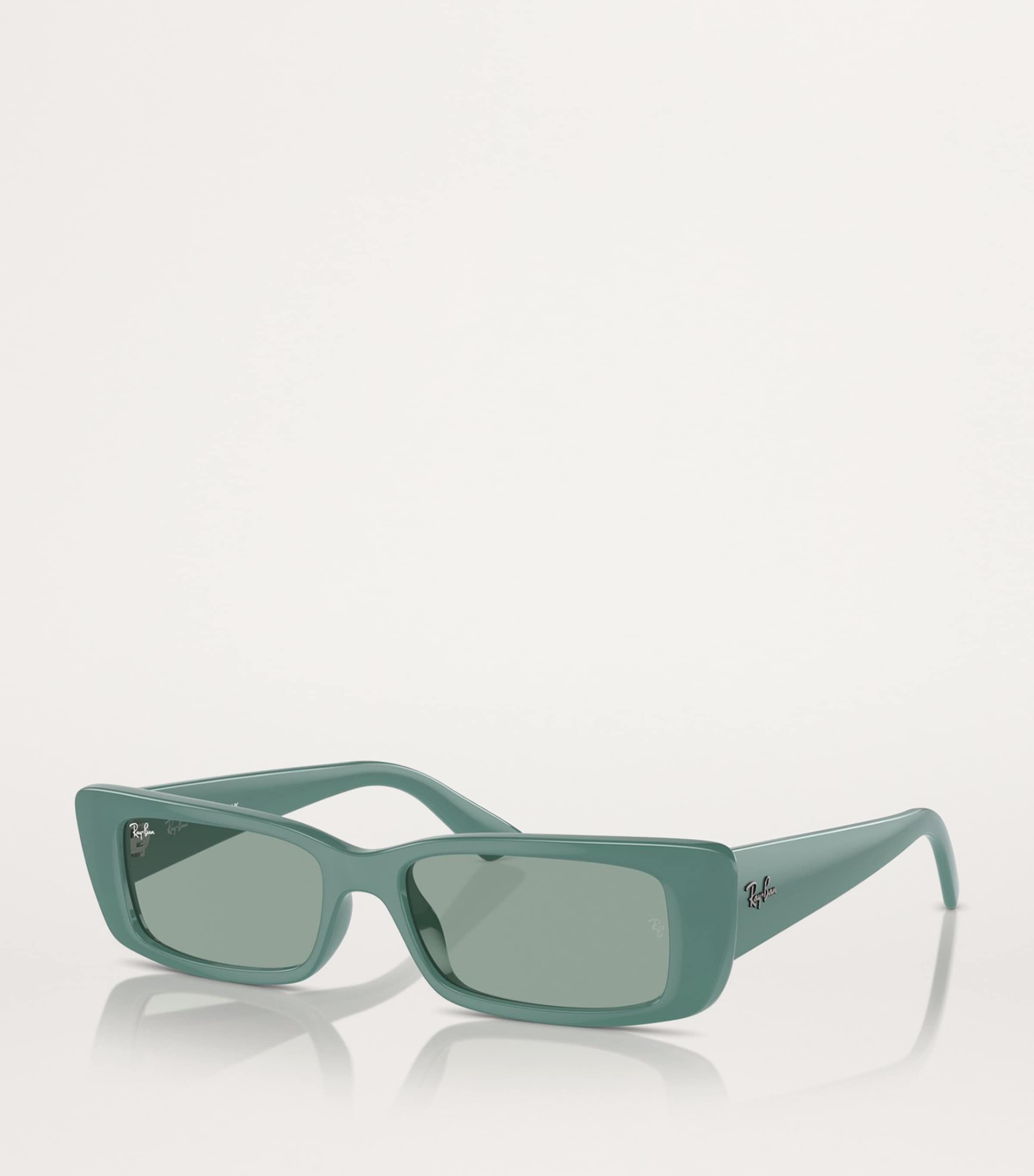 Bio-Based RB4425 Teru Sunglasses 676282 Image 2