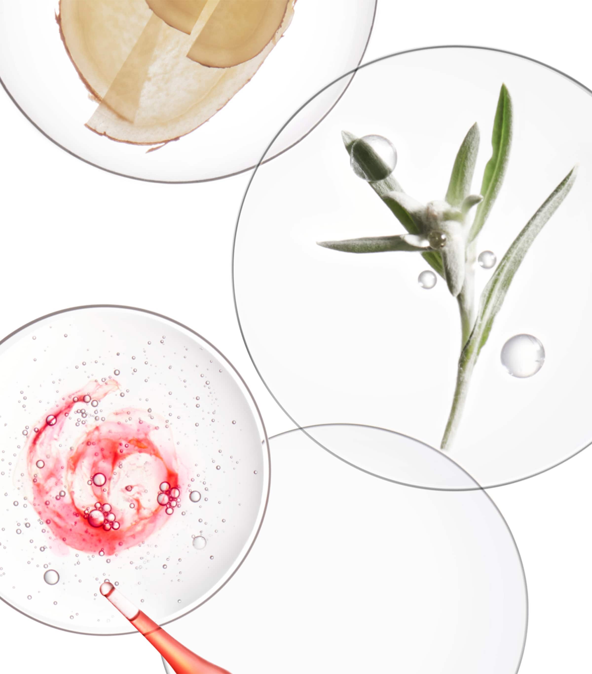 Genesis Bain Hydra-Fortifiant Shampoo (500ml) - Refill NO COLOUR Image 3