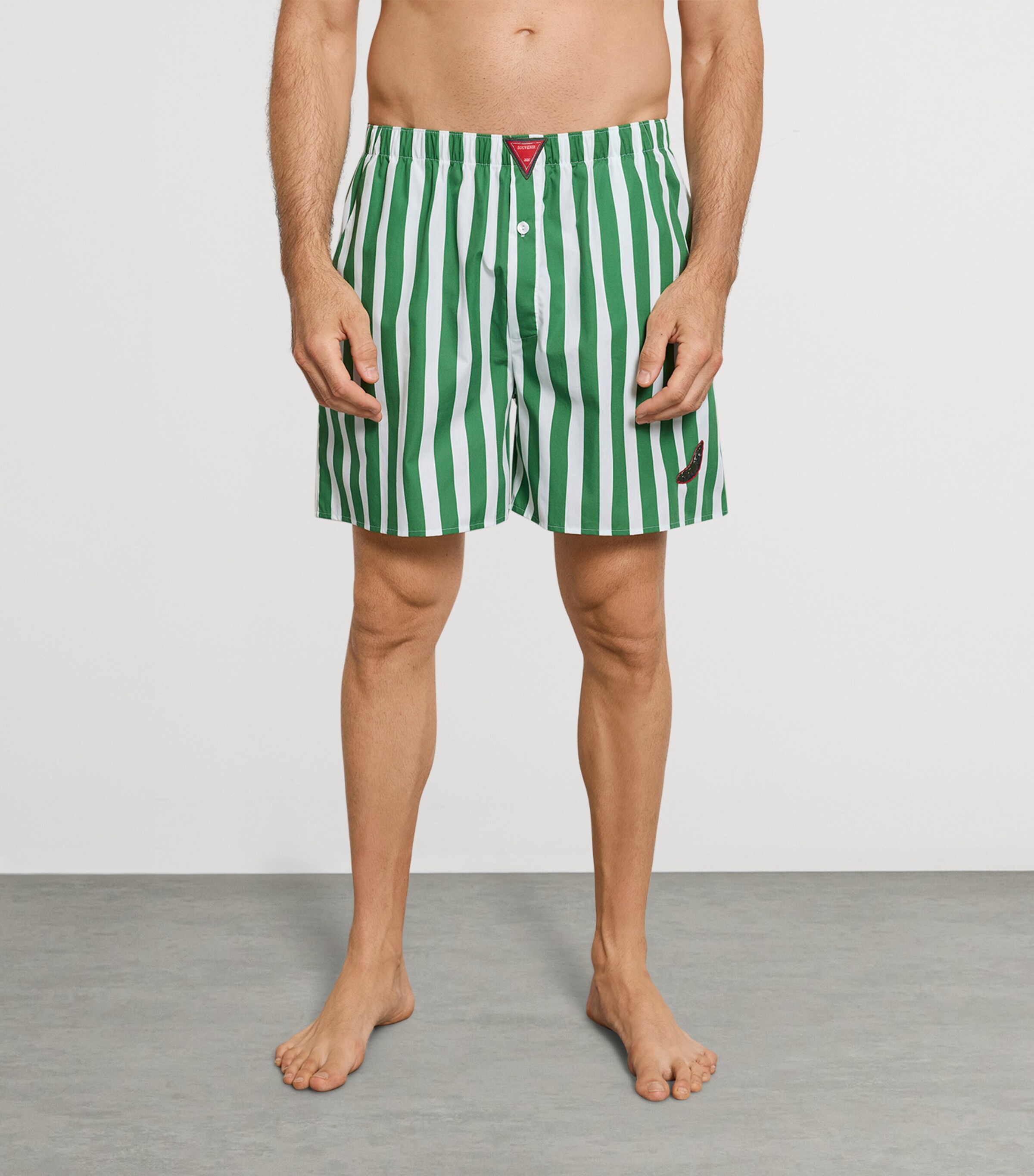 Hanro Womens Cotton Stripe Shorts Souvenir Stripes Image 2