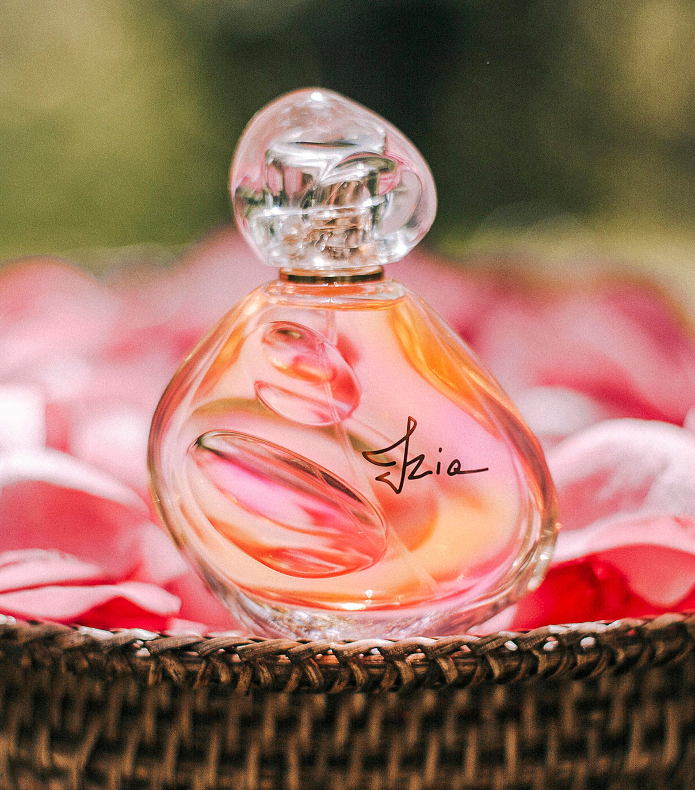 Alhudapk Avril Lavigne Forbidden Rose Perfume Review Cannondale