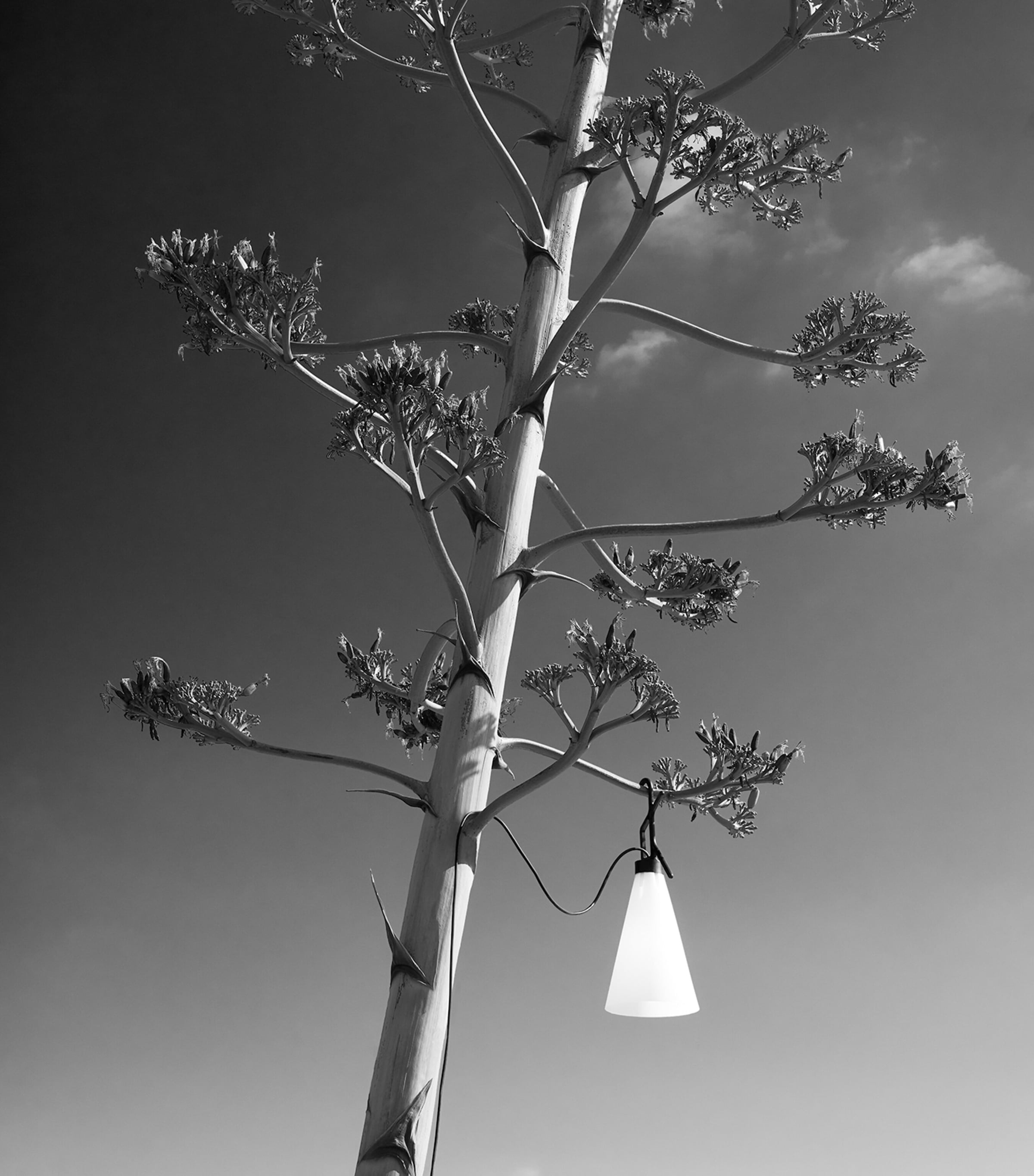 Flos Mayday Outdoor Lamp Image 3
