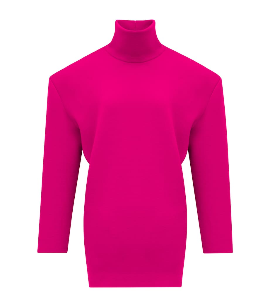 Wool-Blend High-Neck Mini Dress 5551 Image 1