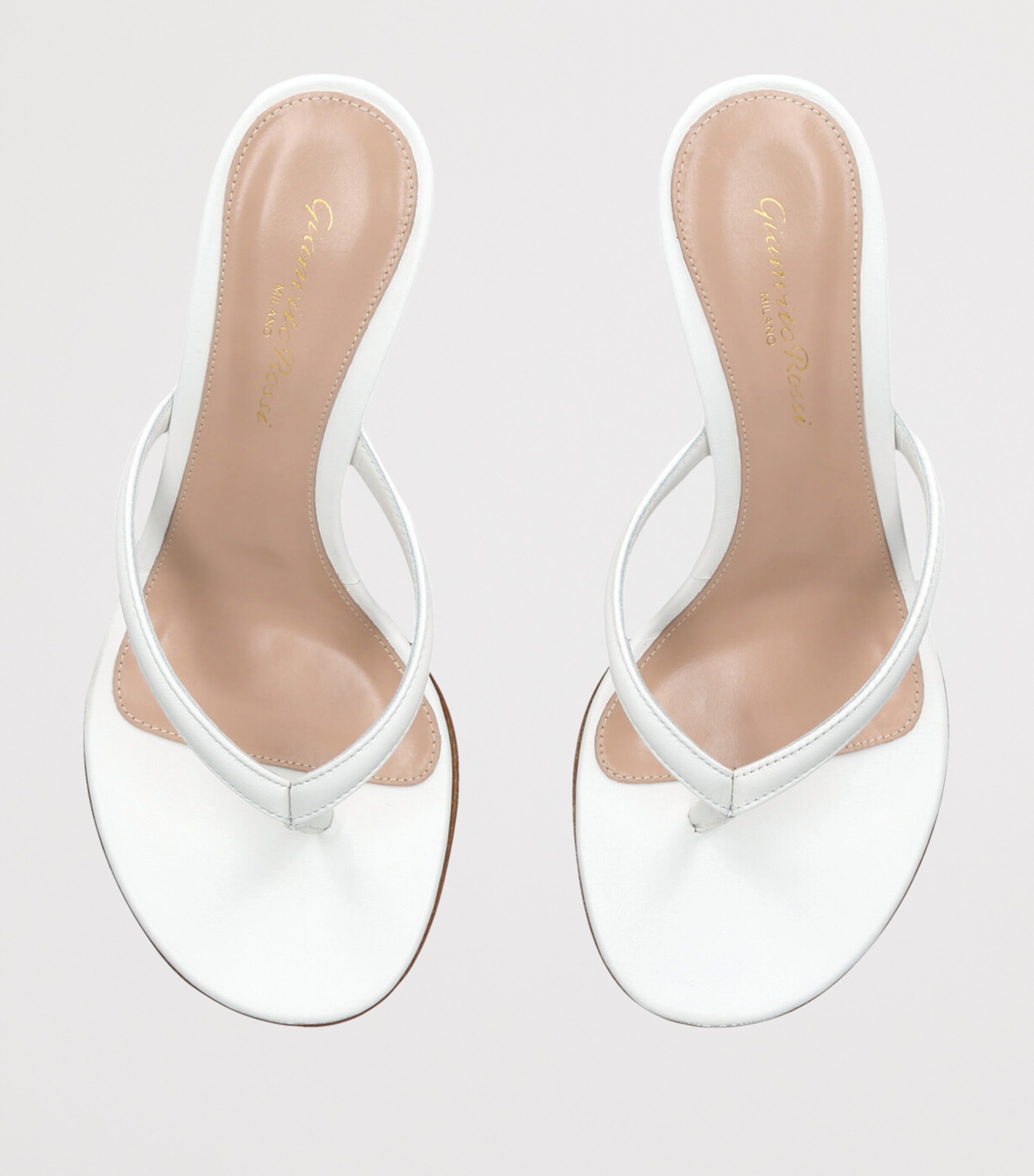 49f26e1f628c61559b1df16b2f29d4