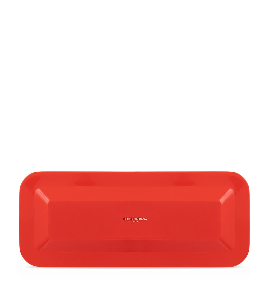 Carreto Print Tray (25cm x 60cm) UC078 CAVALIERI A CA Image 2