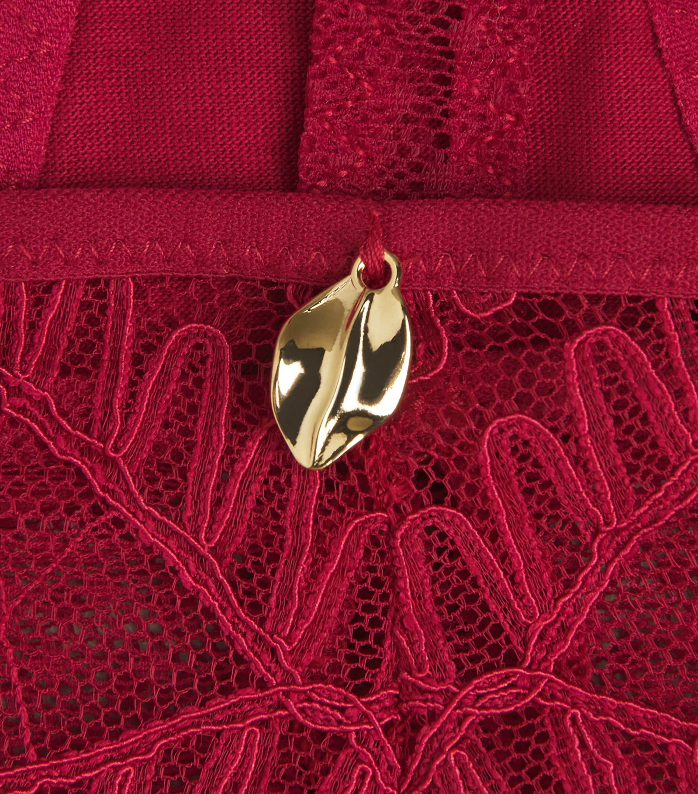 Lace Mystery of Love Tanga Briefs CHERRY Image 4