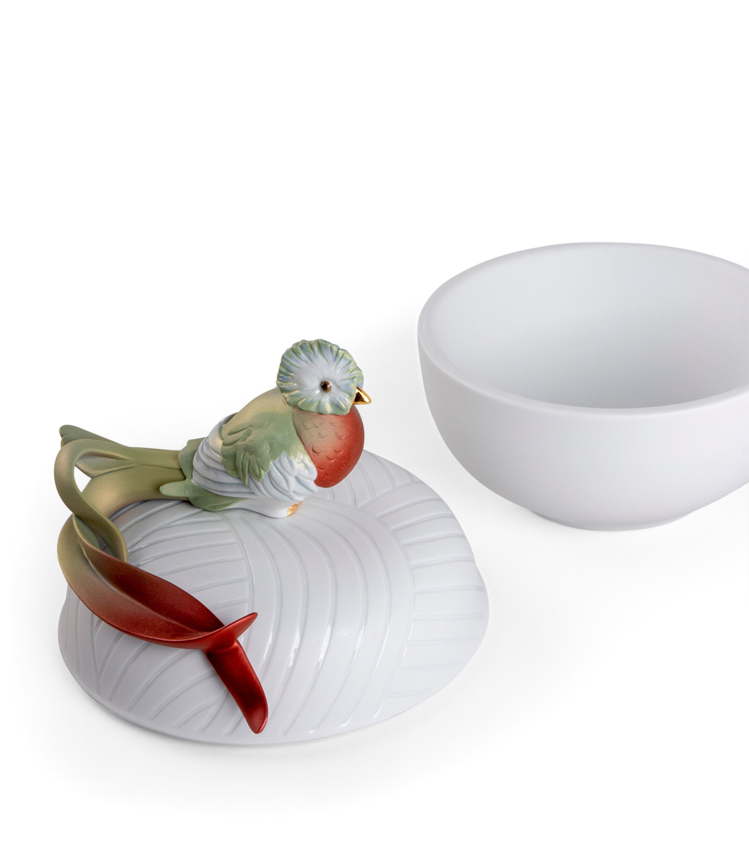 Porcelain Quetzal Box NO COLOUR Image 4