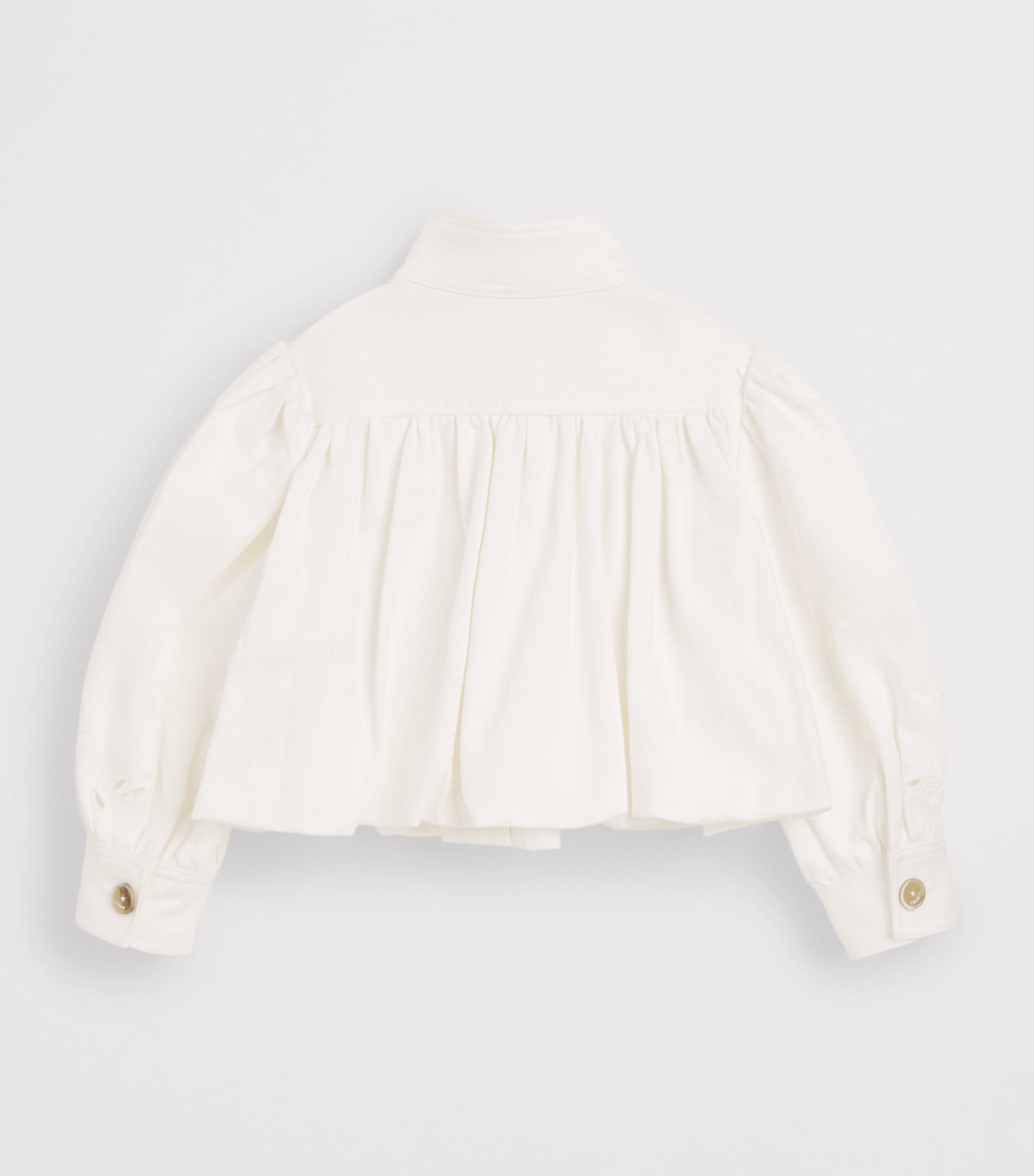 Embroidered Denim Jacket (4-14 Years) C20837/117OFFWHITE Image 2