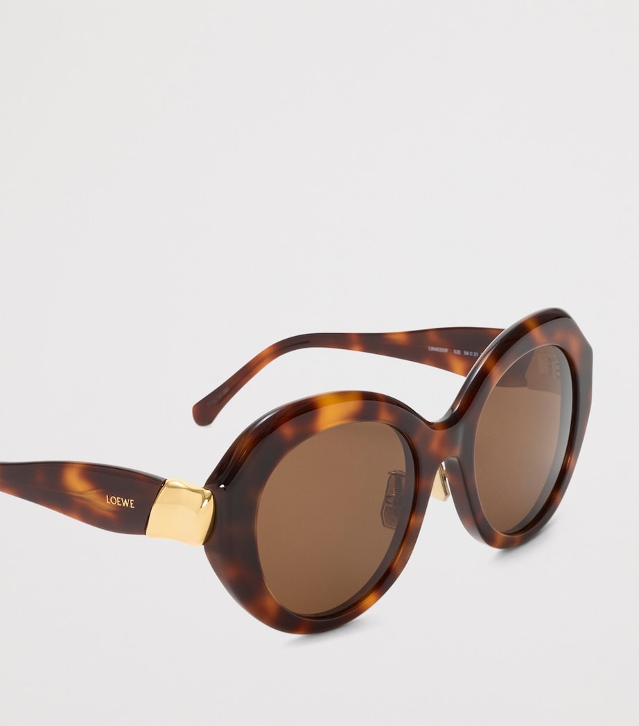 LOEWE Coil Butterfly Sunglasses Havana Image 4