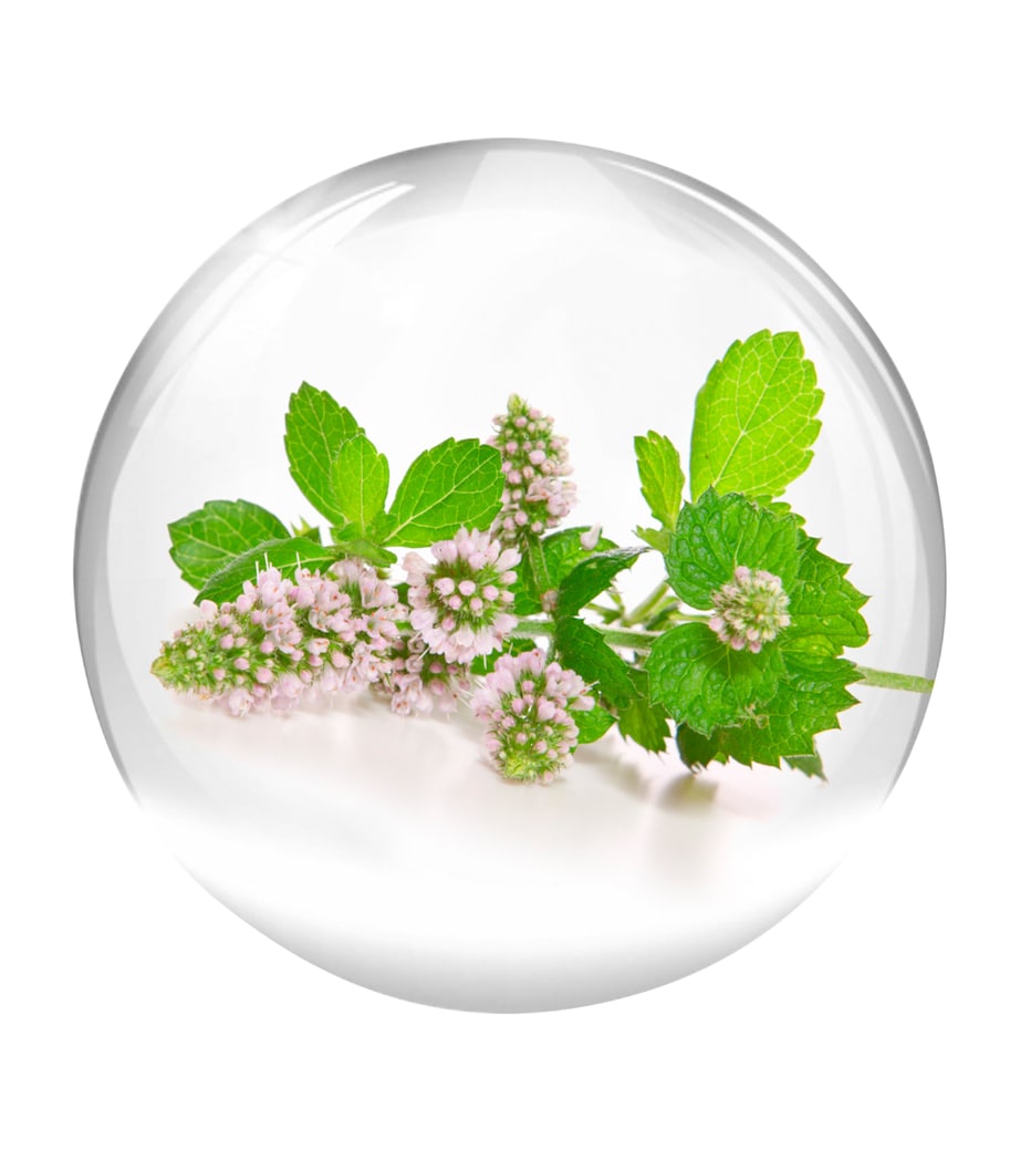 Vital B. Fluid (50ml) NO COLOUR Image 3