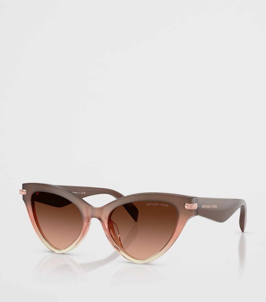 Michael Kors Roanoke Cat Eye Sunglasses Pink Image 2