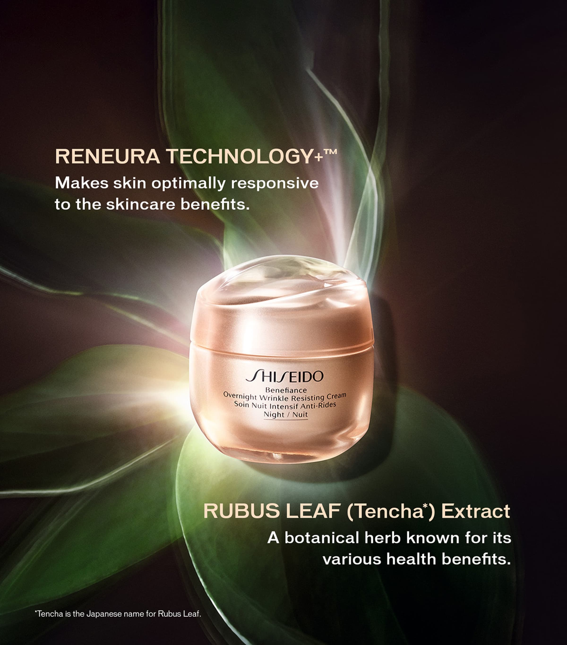 Benefiance Overnight Wrinkle Resisting Cream (50ml) NO COLOUR Image 4