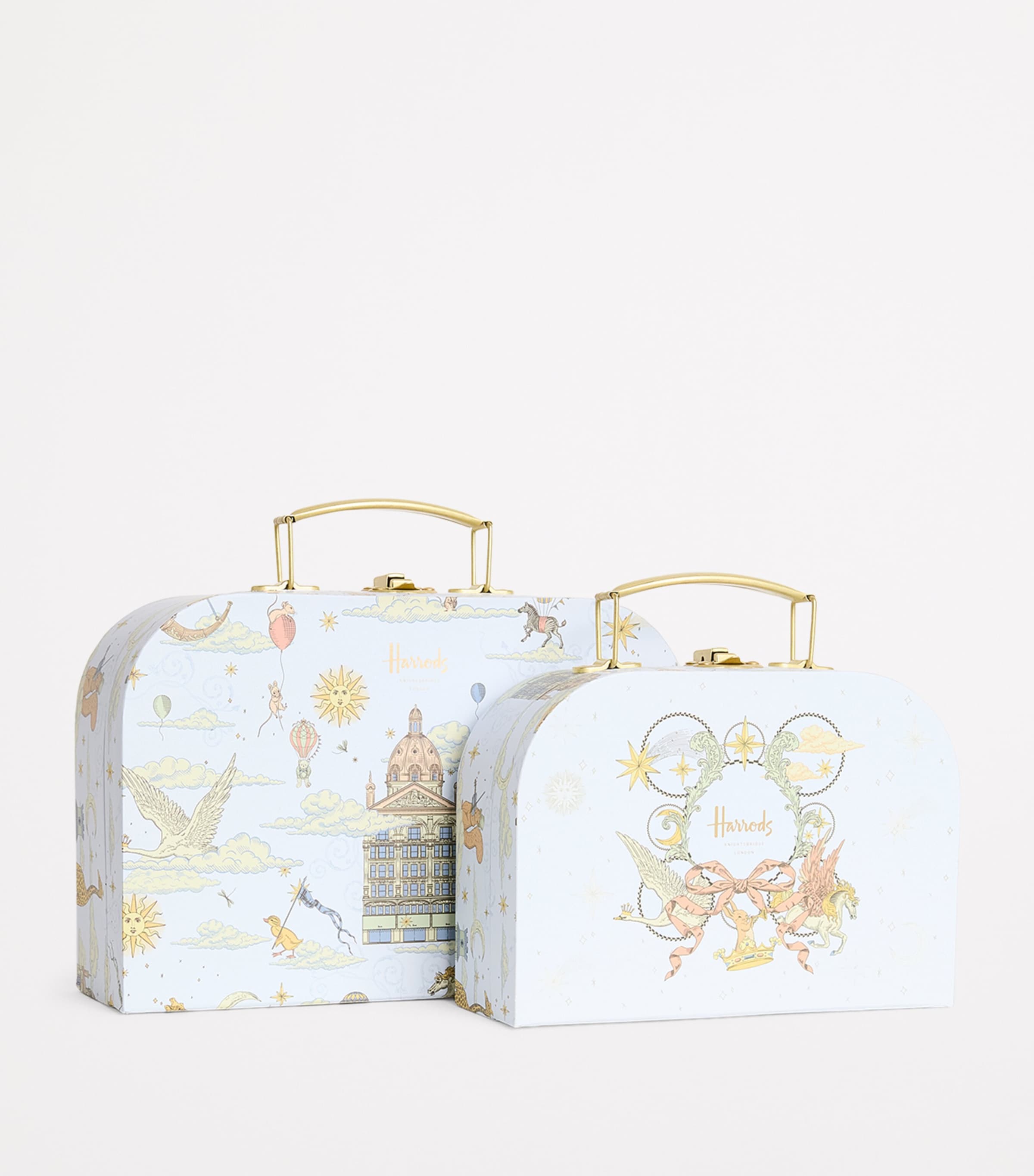 Set of 2 Carry Cases BLUE Image 2