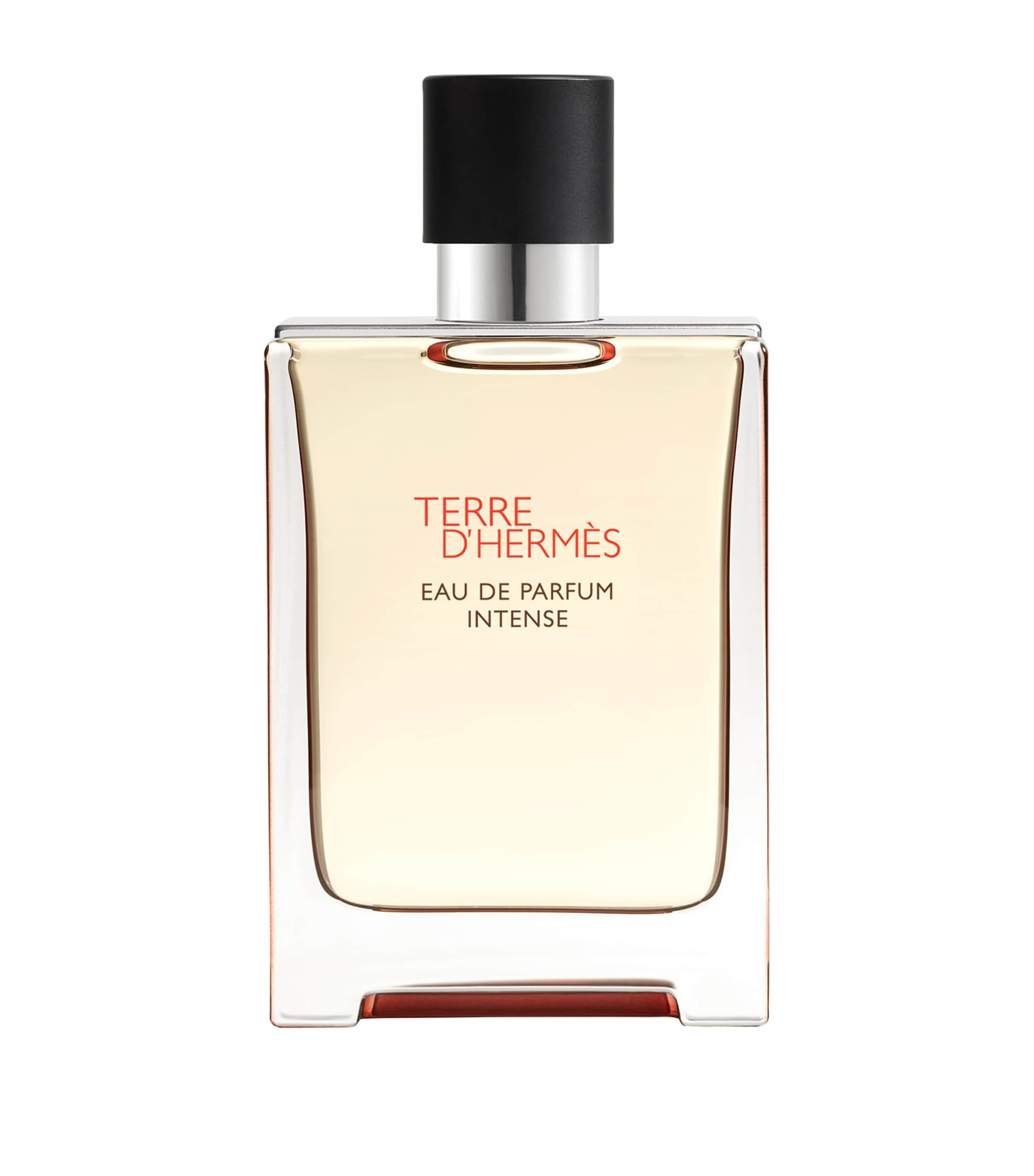 Terre d’Hermès Eau de Parfum Intense (50ml) NO COLOUR Image 1