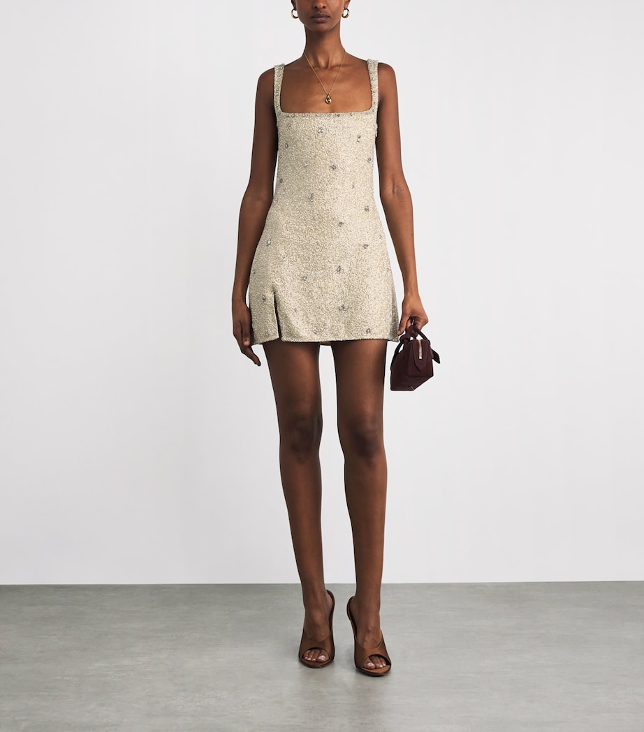 Pamela Mini Dress PLATINUM Image 2