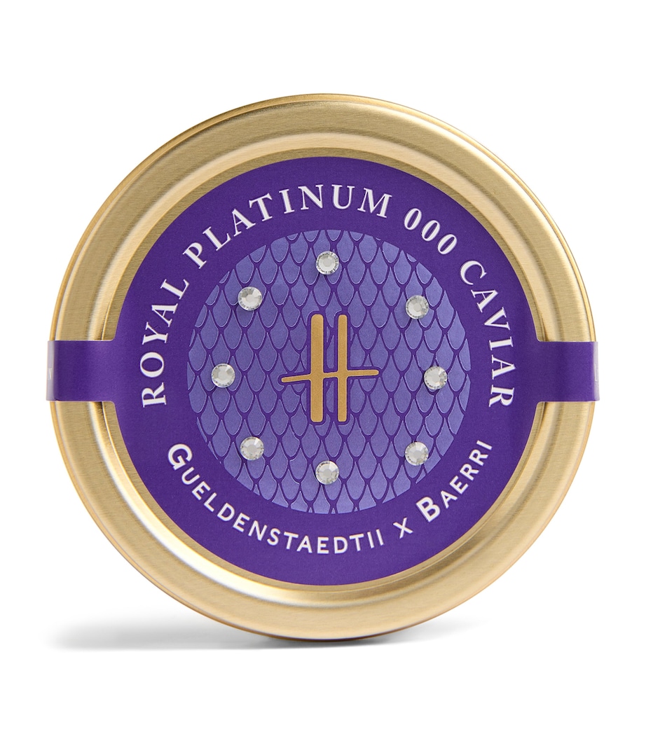 Royal Platinum 000 Caviar (30g) NO COLOUR Image 1