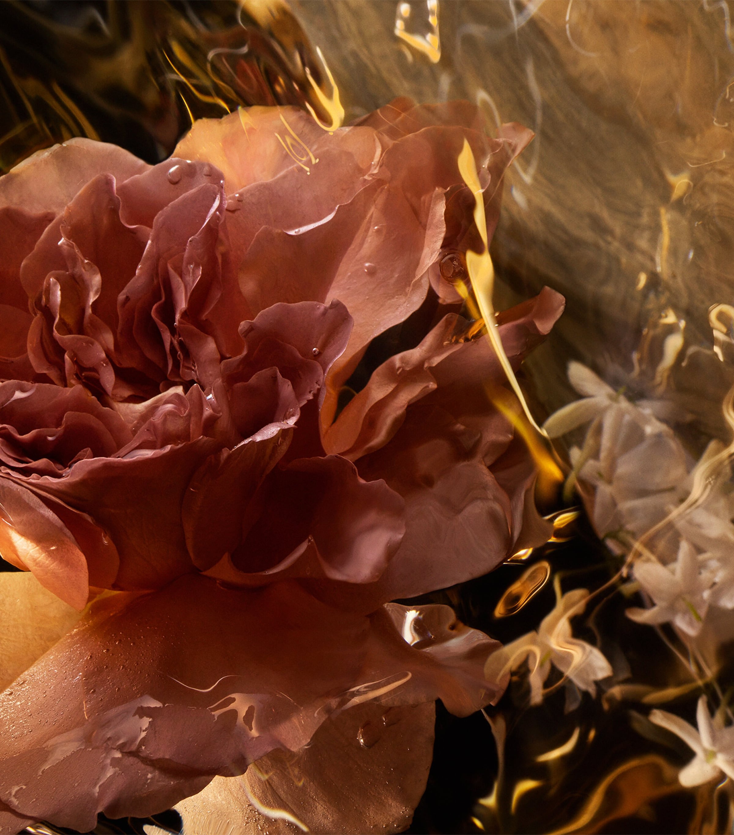 Absolus Allegoria Santal Royal Hair Mist (40ml) NO COLOUR Image 3