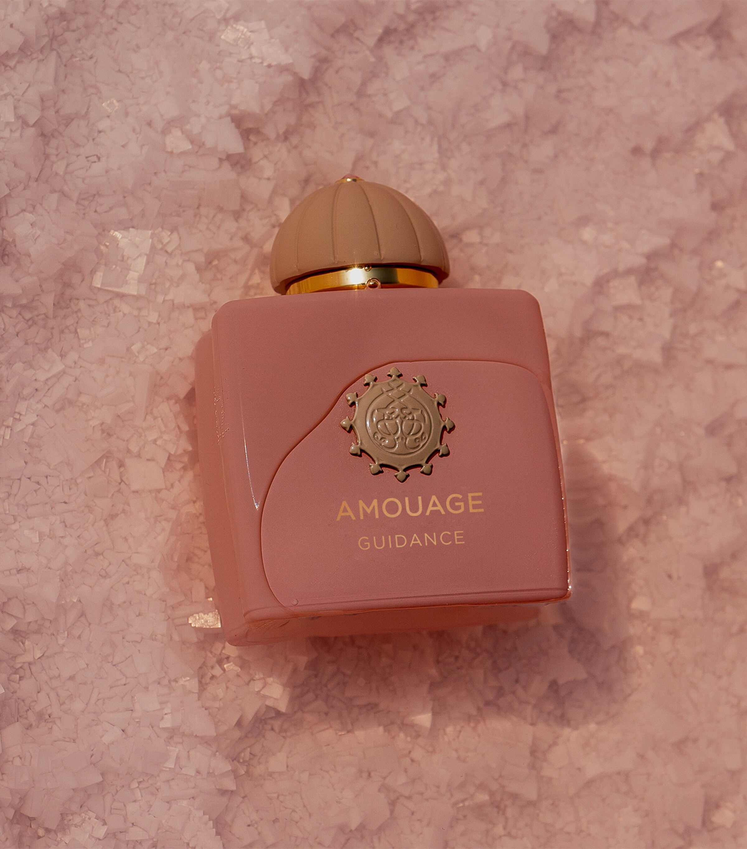 Amouage Guidance Fragrance Gift Set (100ml) Image 2