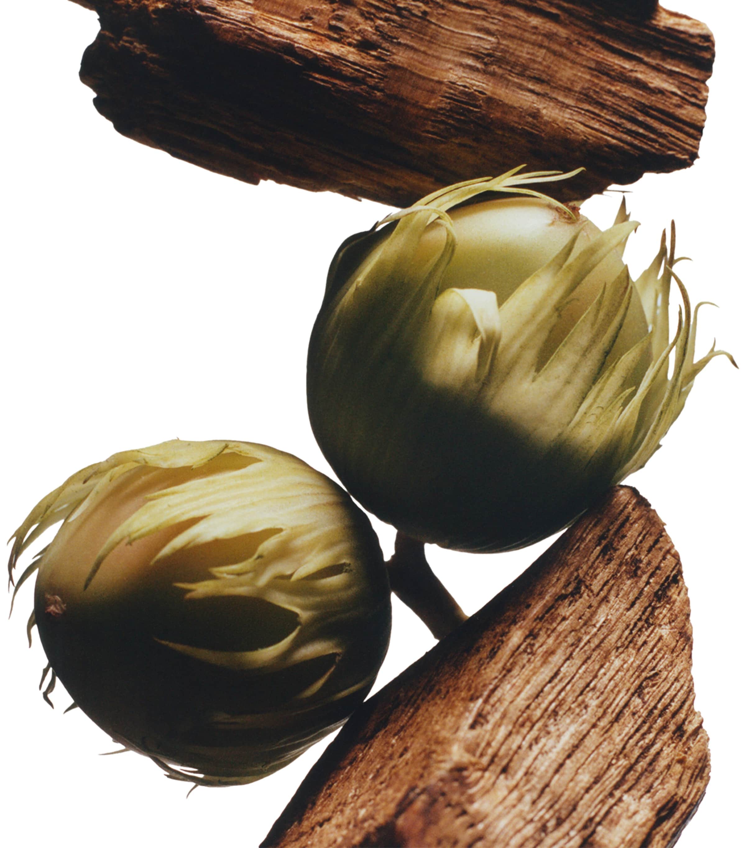 English Oak & Hazelnut Cologne (50ml) NO COLOUR Image 2