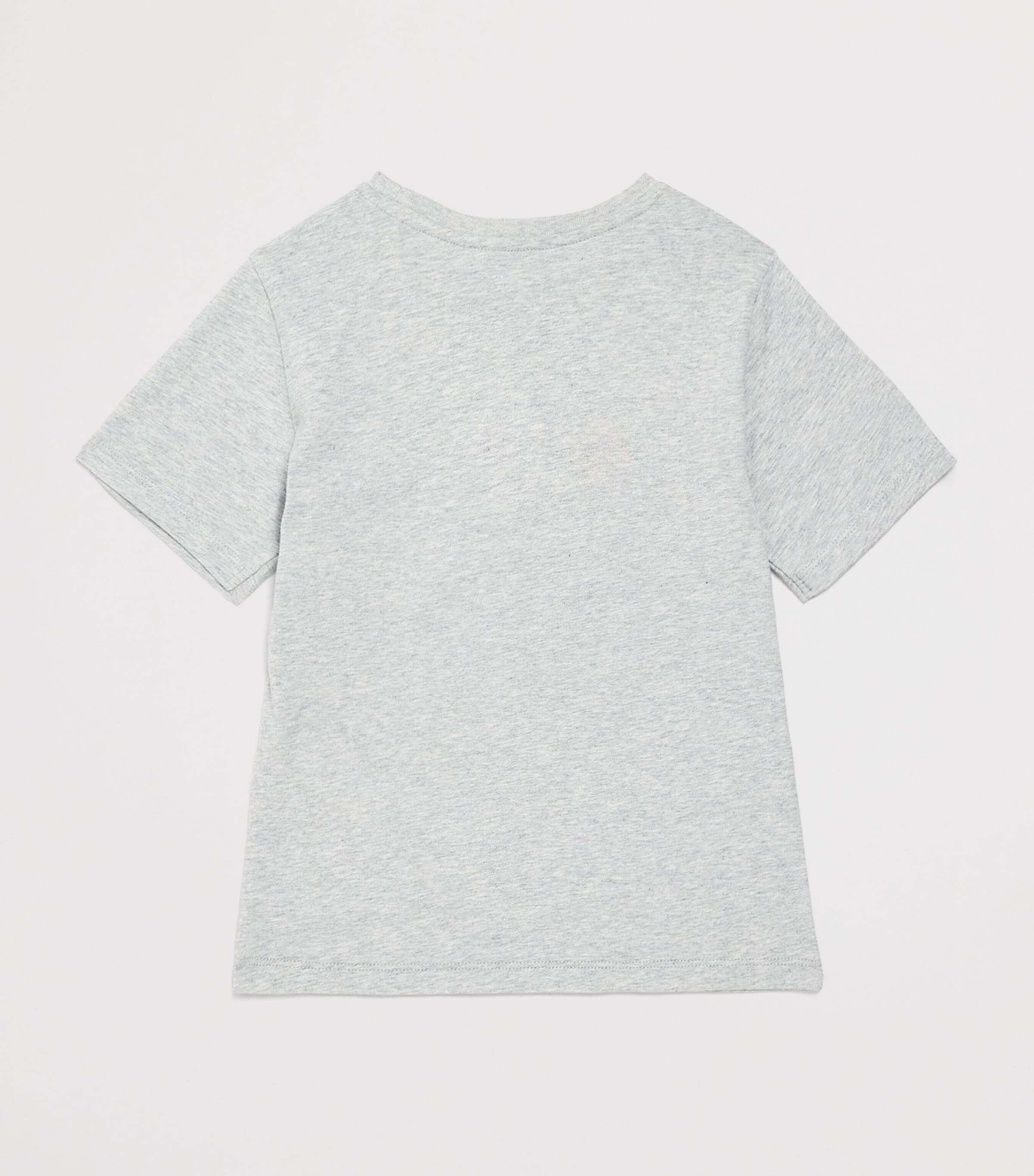 Cotton Printed T-Shirt (5-12 Years) 22GRIS CHINÉ Image 2