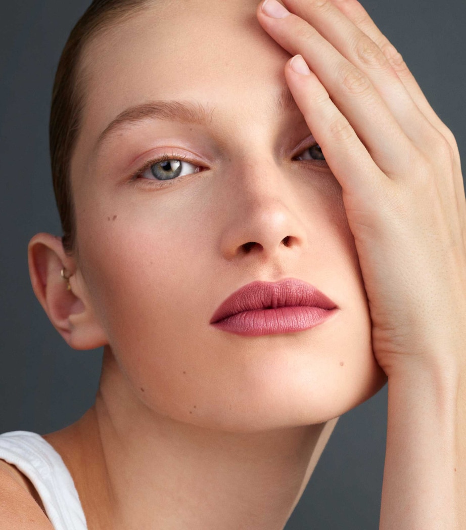 Lip Suede Palette LES ROUGES Image 8