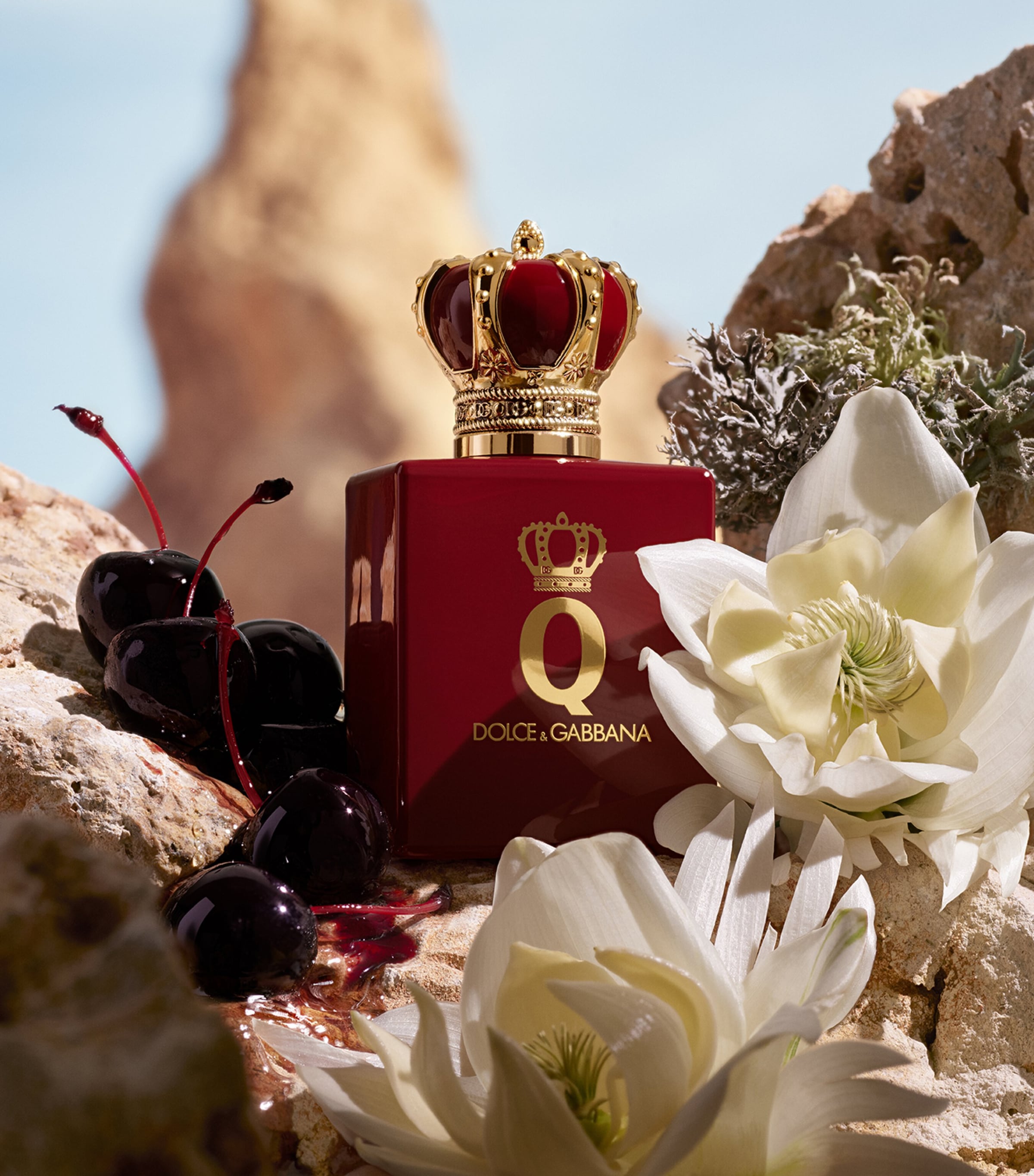 Q Elixir (50ml) NO COLOUR Image 3