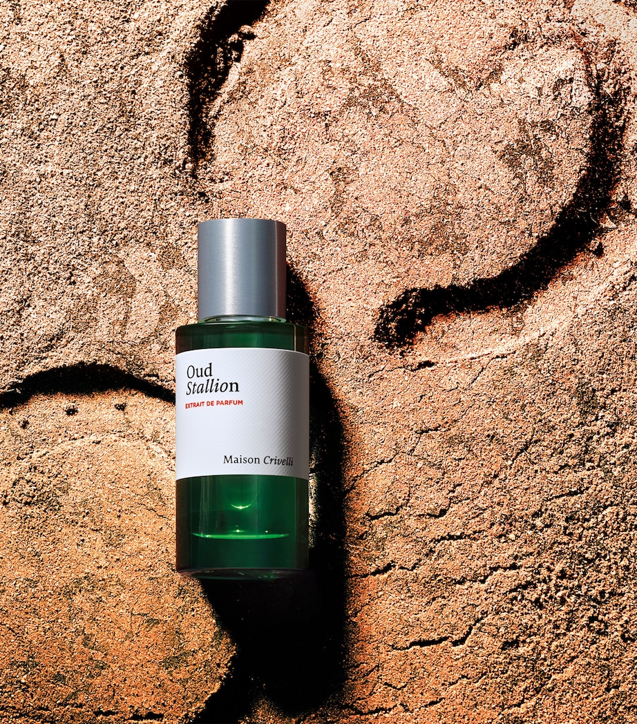 x Jordi Fernandez Oud Stallion Extrait de Parfum (50ml) NO COLOUR Image 5