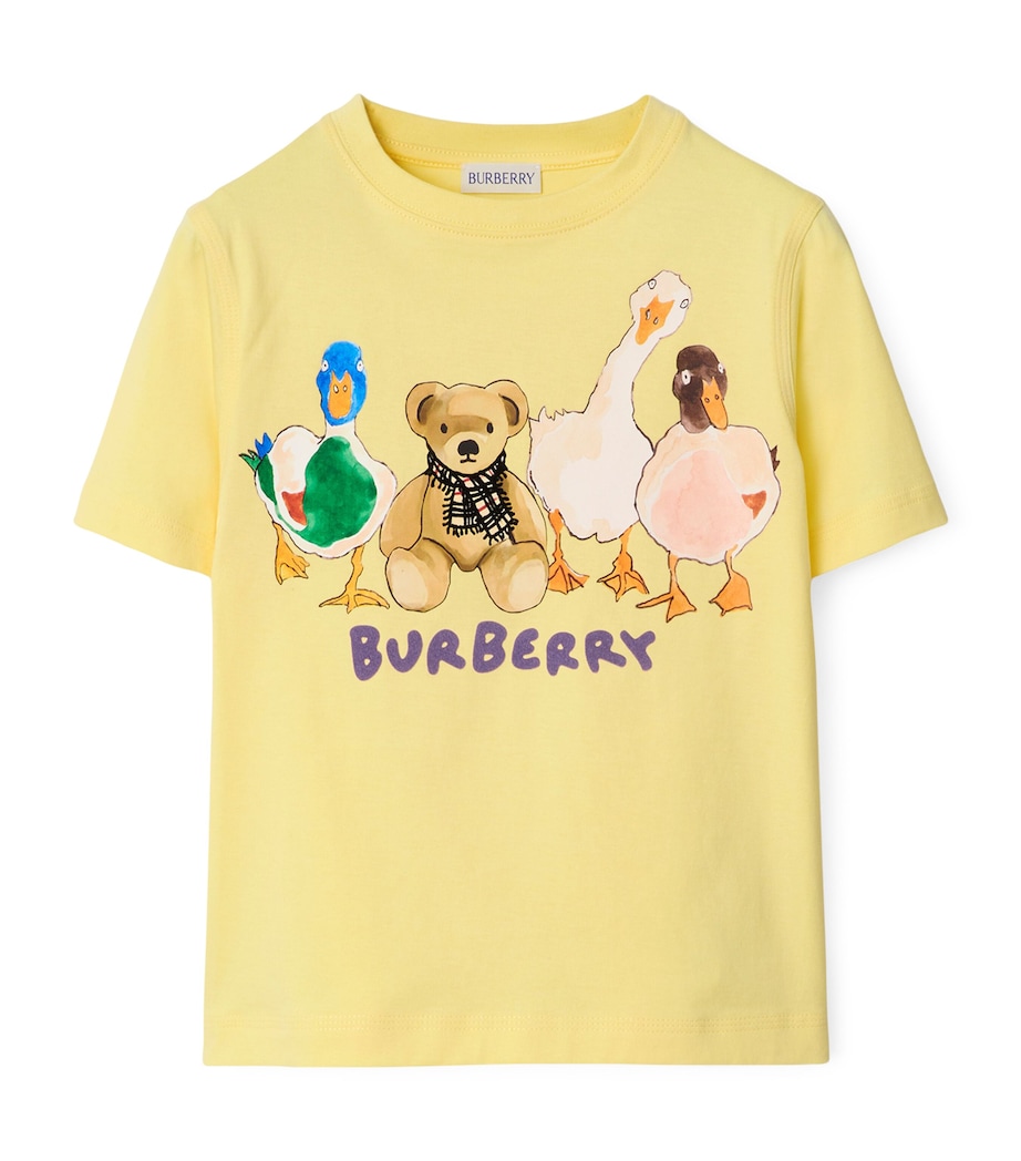 Cotton Thomas Bear and Friends T-Shirt (3-12 Years) SHERBET Image 1