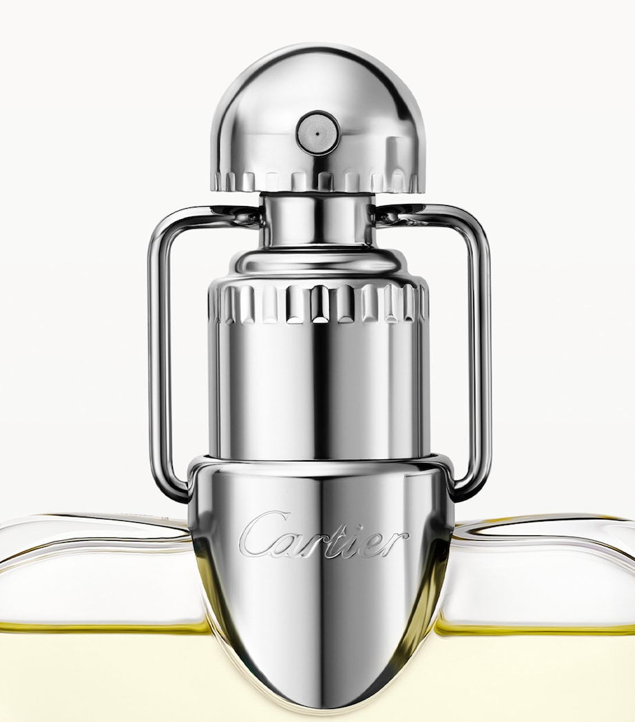 Déclaration Eau de Toilette (100ml) NO COLOUR Image 3