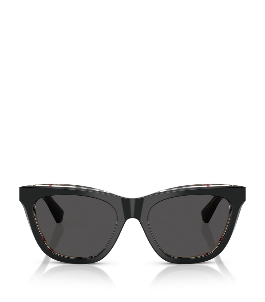 Acetate Wayfarer Sunglasses 412187 Image 1