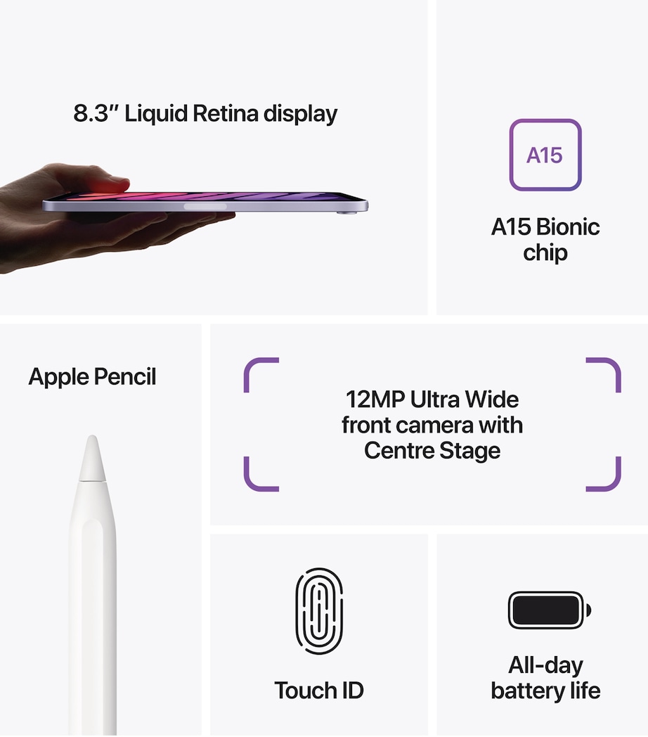 iPad Mini 8.3" Wi-Fi 256GB - Pink PINK Image 7