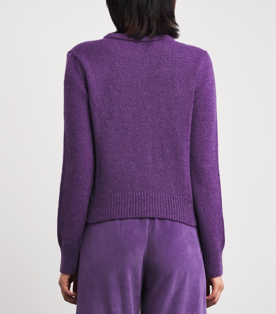 Cashmere Kadria Cardigan FIG Image 4