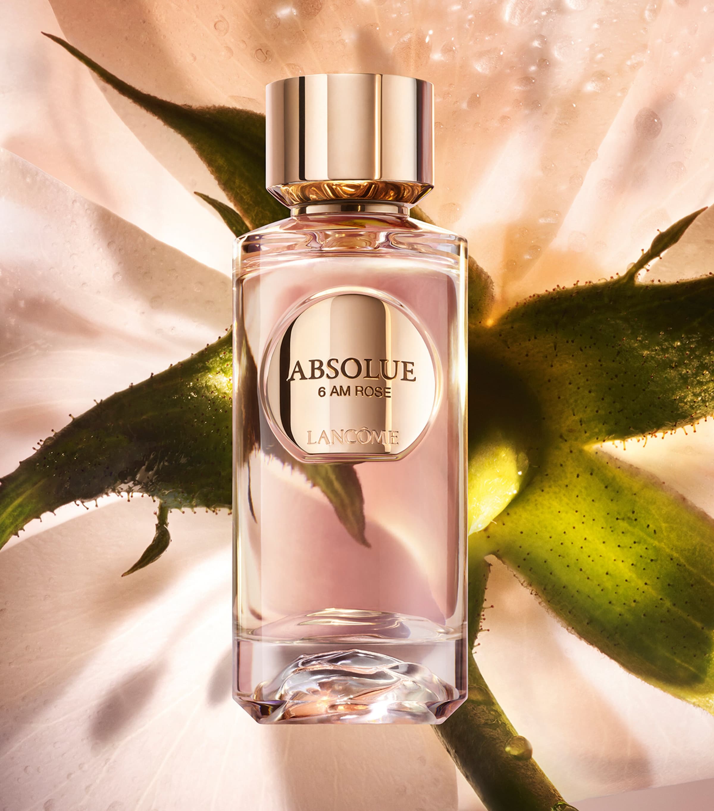 Absolue 6AM Rose Eau de Parfum (50ml) NO COLOUR Image 3