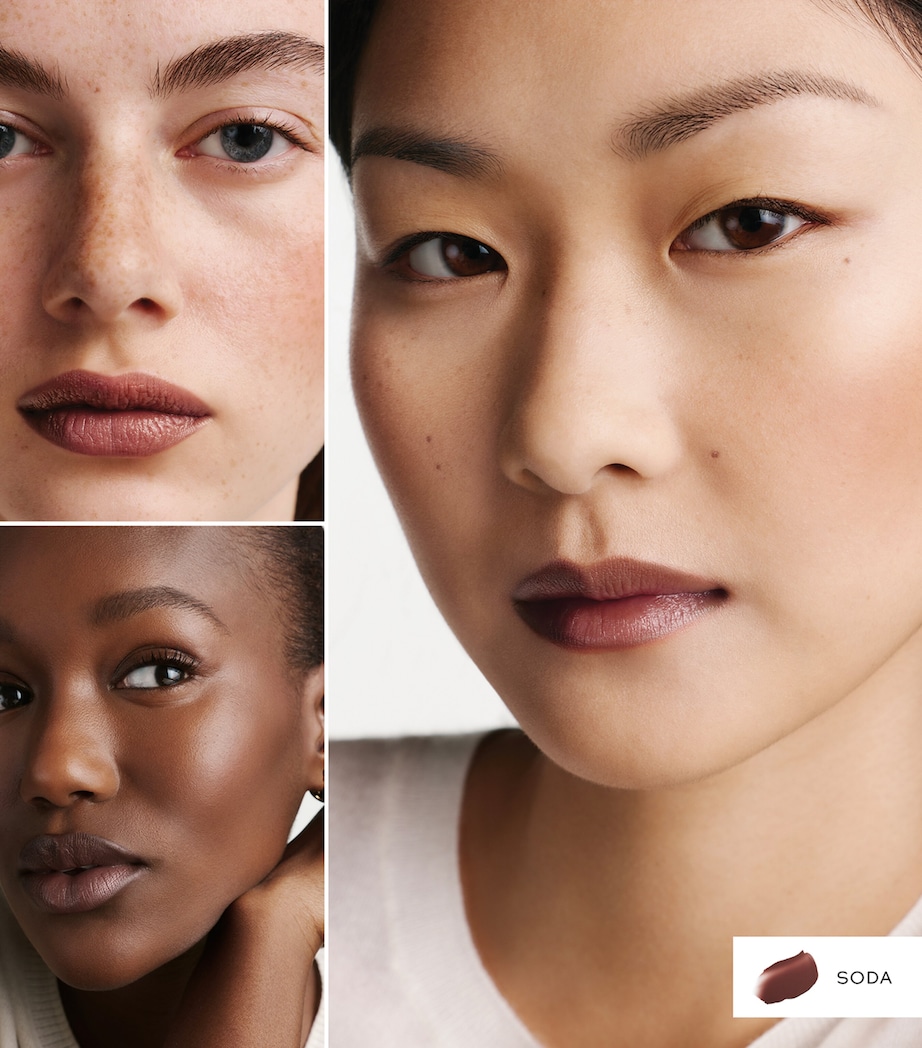 Westman Atelier HydroBalm Tinted Lipstick Brique Image 5