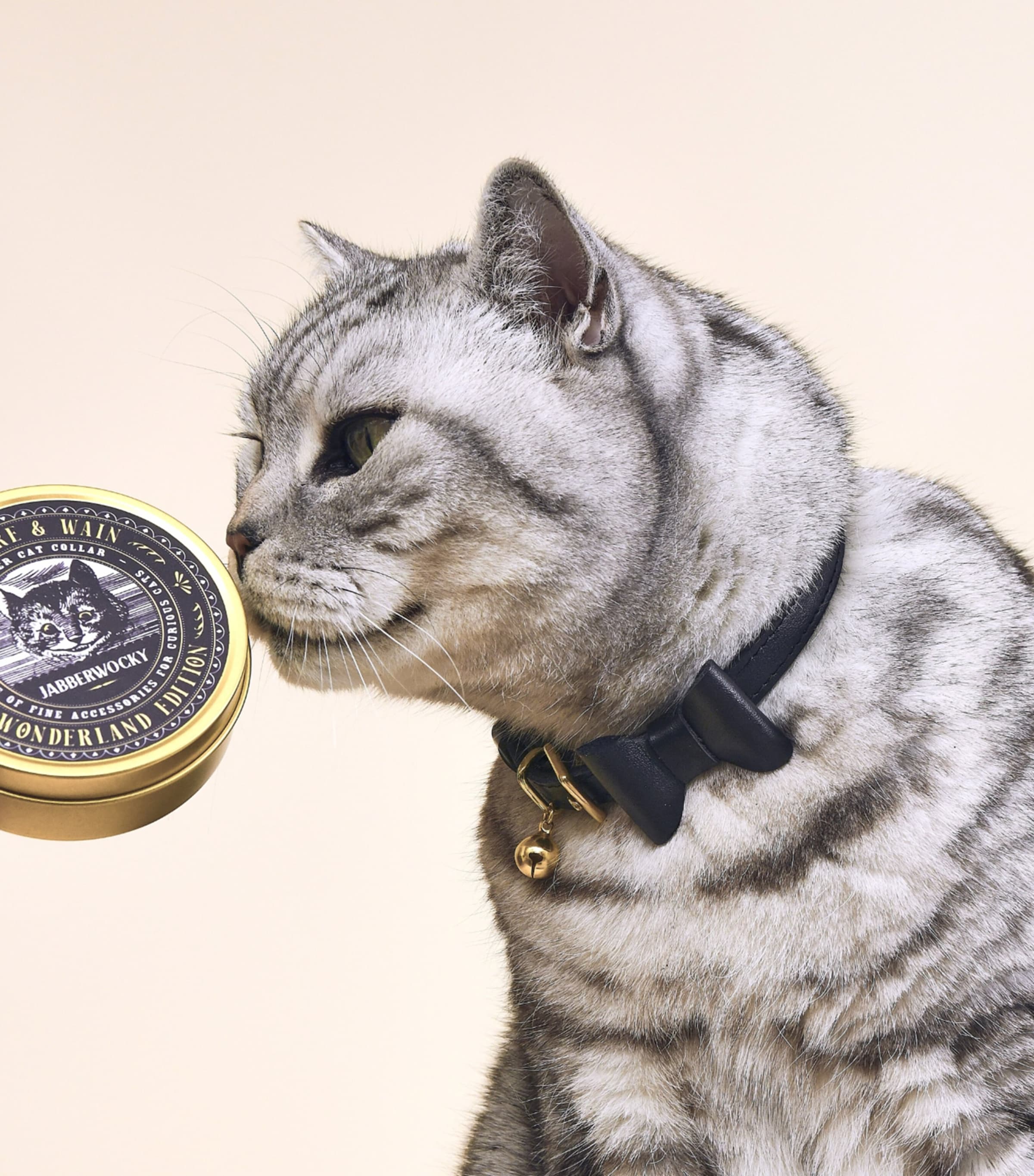 Medium Leather Wonderland Cat Collar BLACK Image 4